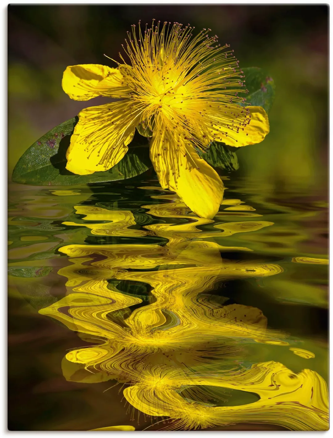 Artland Leinwandbild "Wasserblüte - Johanniskraut", Spa Bilder, (1 St.), au günstig online kaufen