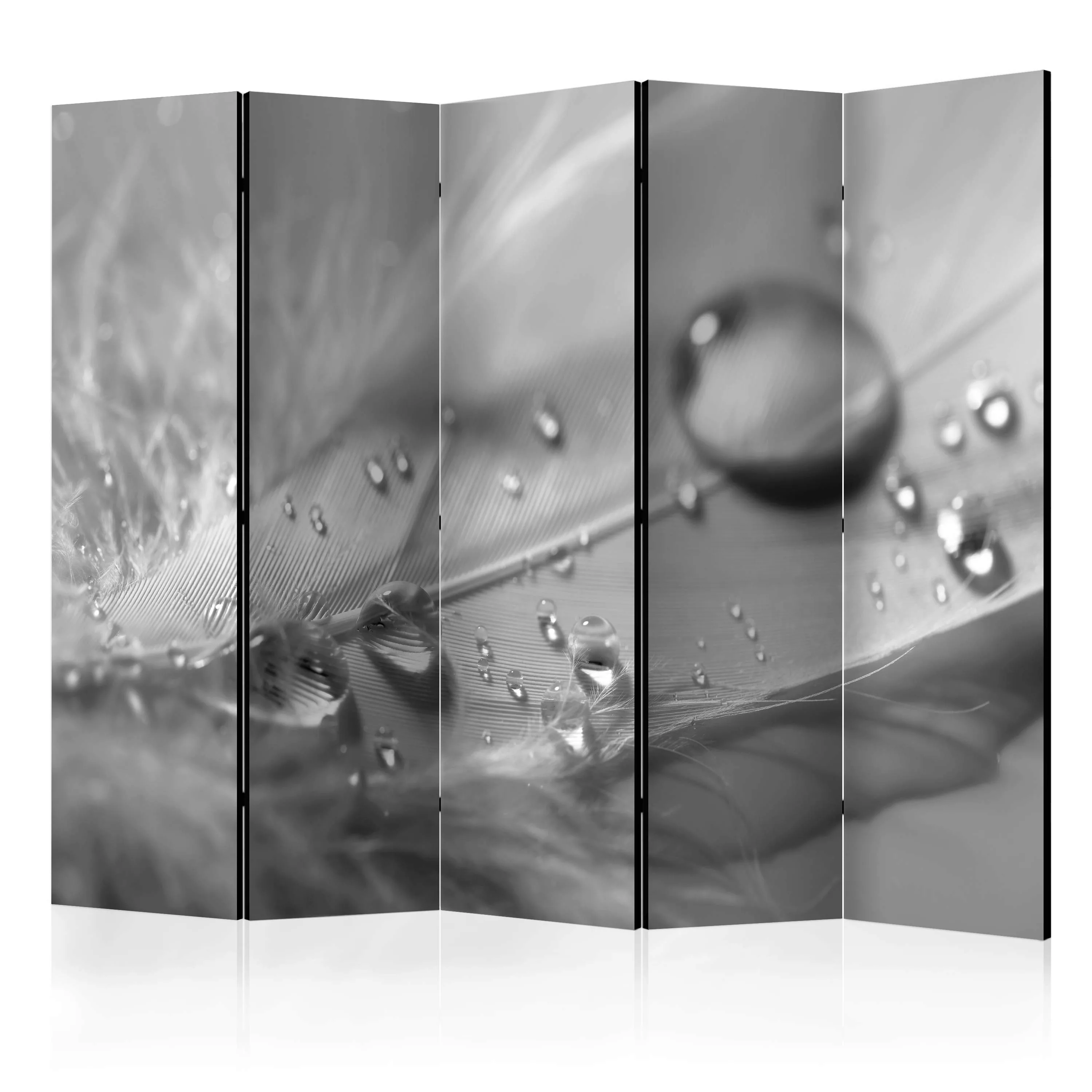 5-teiliges Paravent - Grey Feather Ii [room Dividers] günstig online kaufen