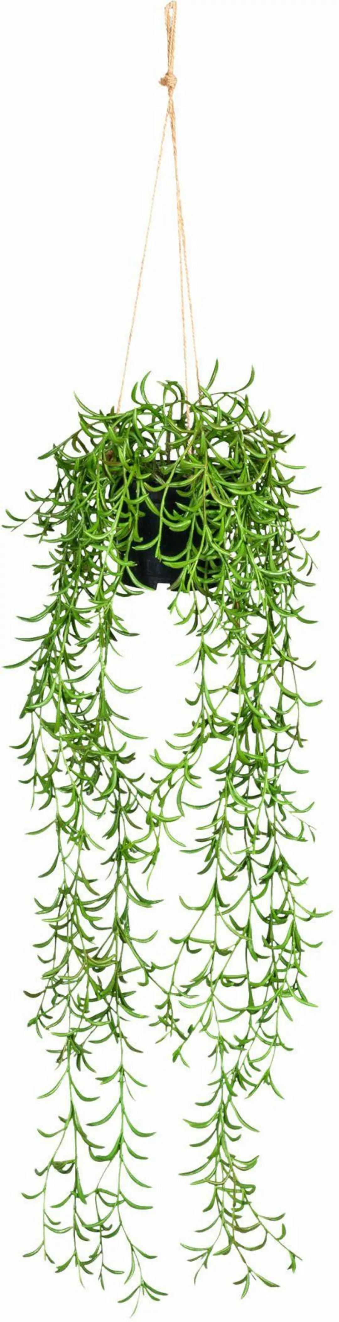 Kunstranke Nerifolia-Hänger Blatthänger, Creativ green, Höhe günstig online kaufen