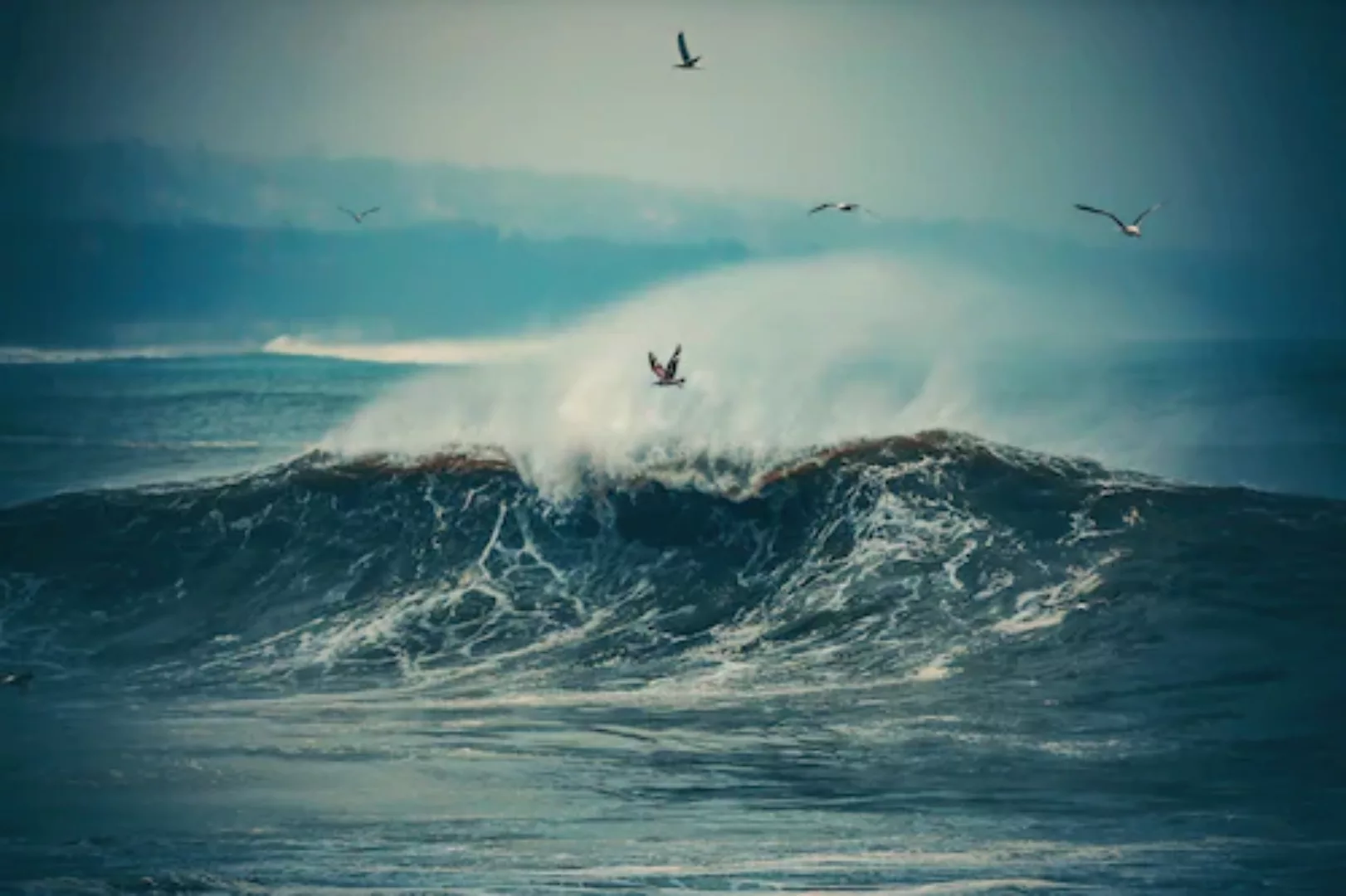 Papermoon Fototapete »Wellen mit Vögeln« günstig online kaufen