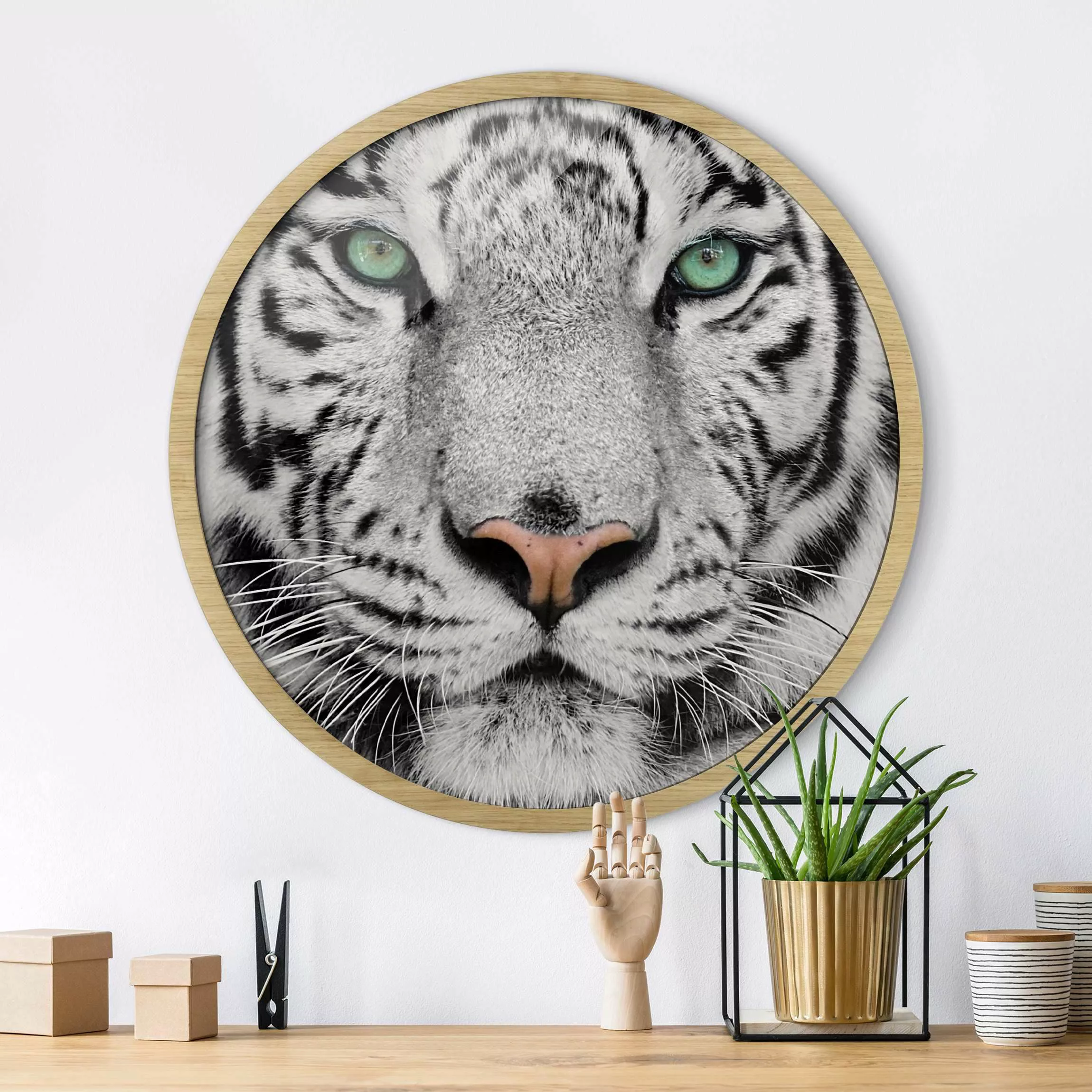 Rundes Gerahmtes Bild Weißer Tiger günstig online kaufen