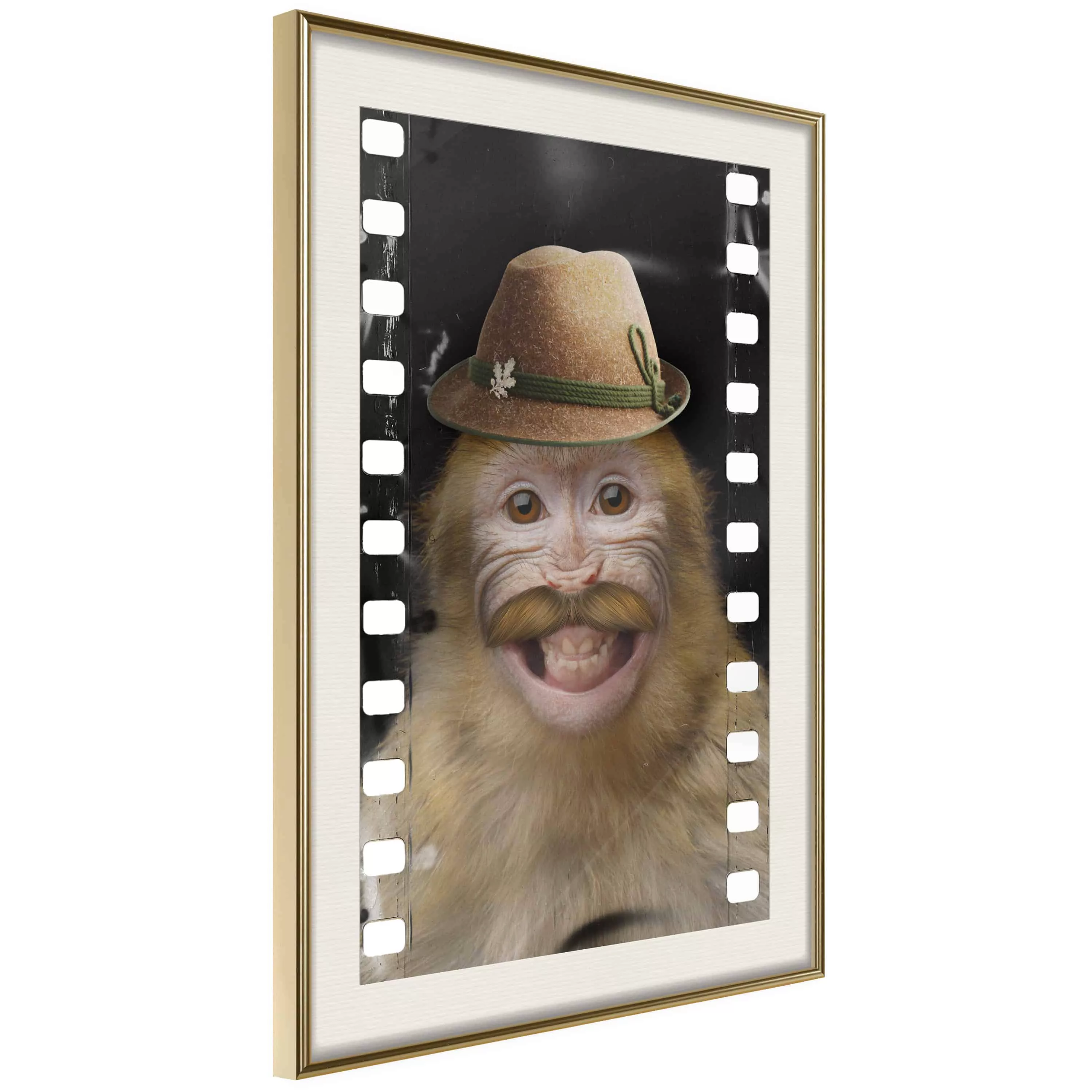 Poster - Dressed Up Monkey günstig online kaufen