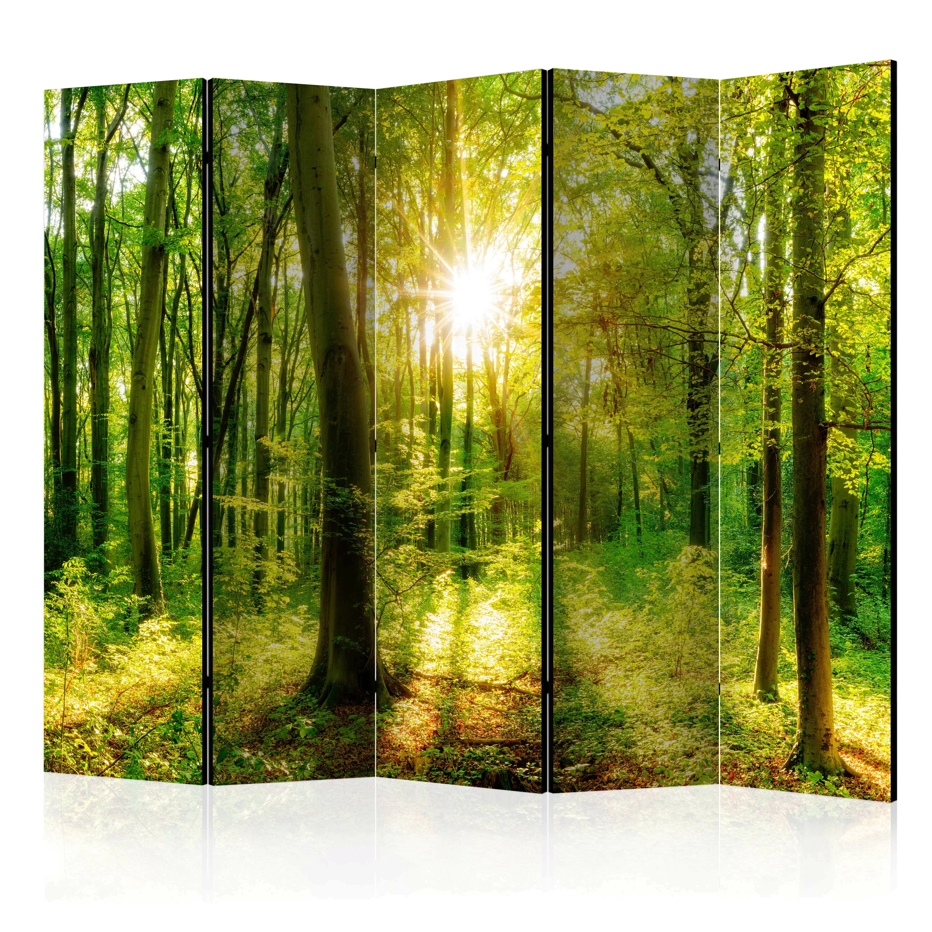 5-teiliges Paravent - Forest Rays Ii [room Dividers] günstig online kaufen