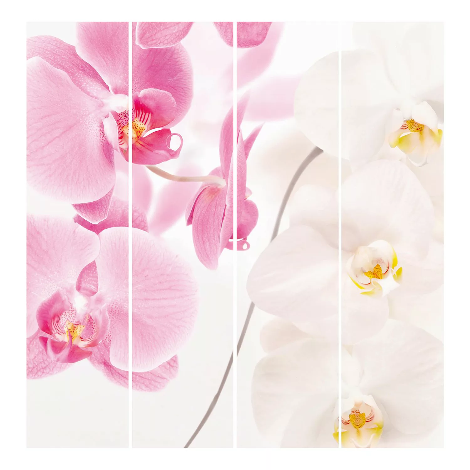 Schiebegardinen Set Blumen Delicate Orchids günstig online kaufen