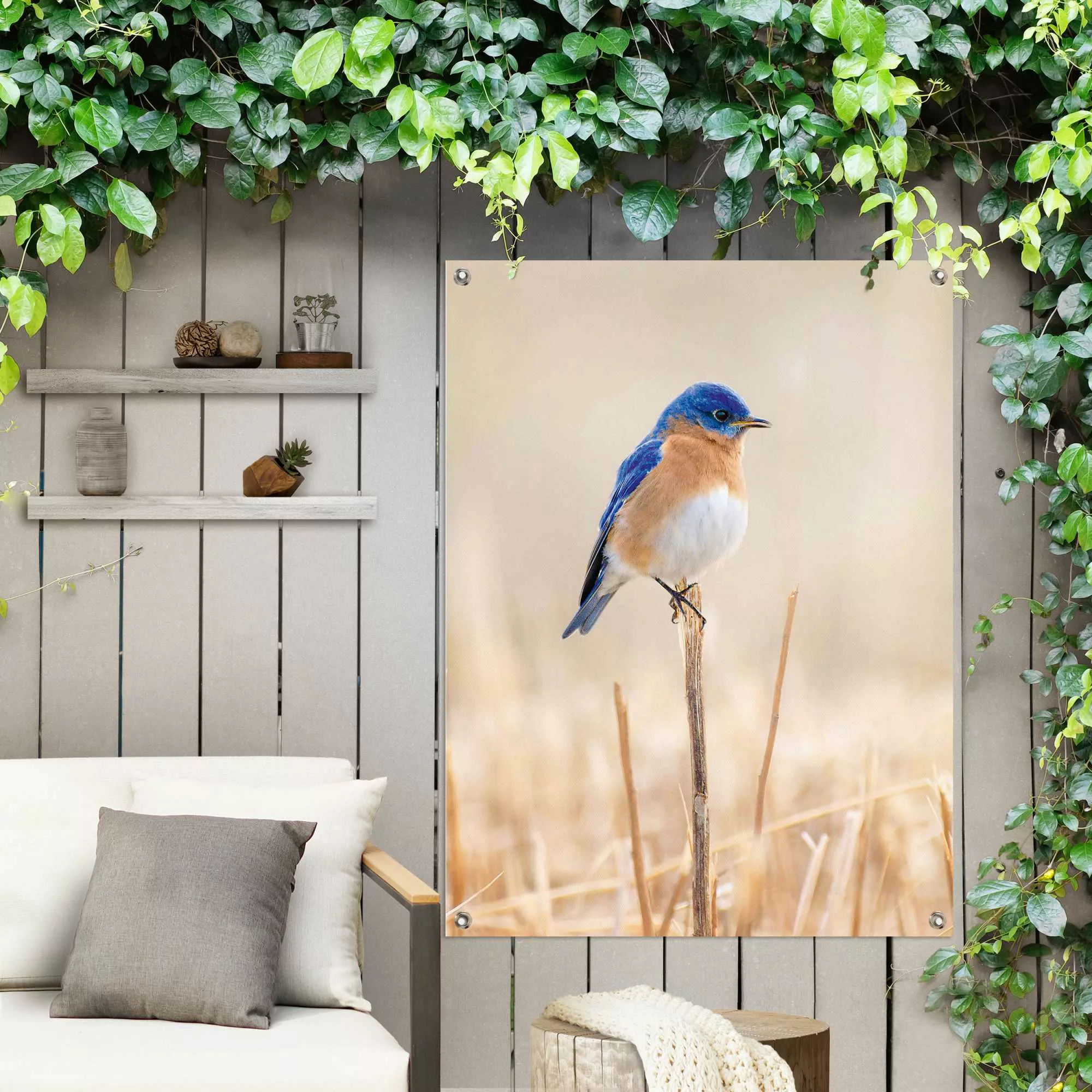 Reinders! Poster »Blauer Vogel«, Outdoor für Garten oder Balkon günstig online kaufen