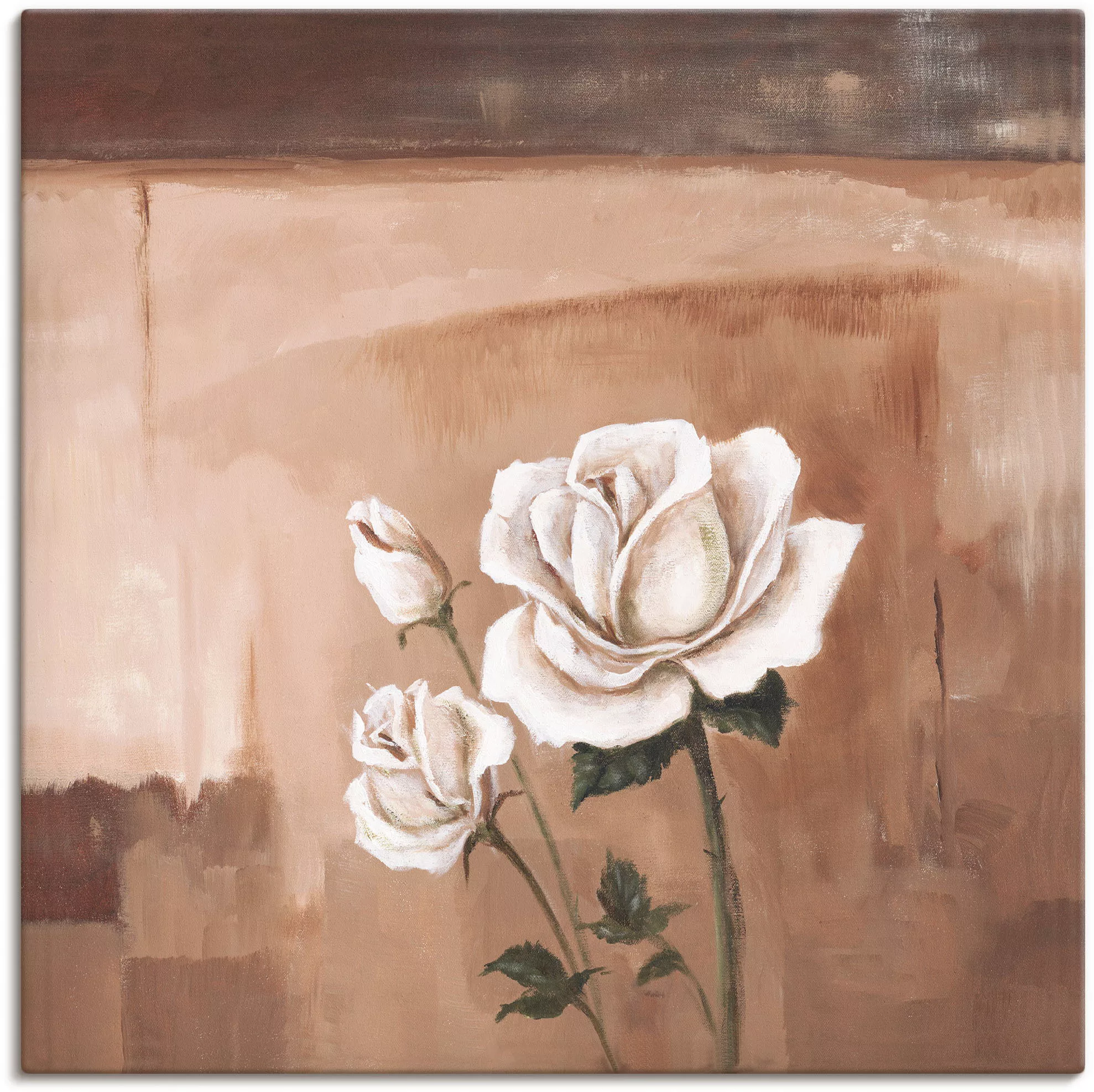 Artland Leinwandbild "Rosen II", Blumenbilder, (1 St.) günstig online kaufen