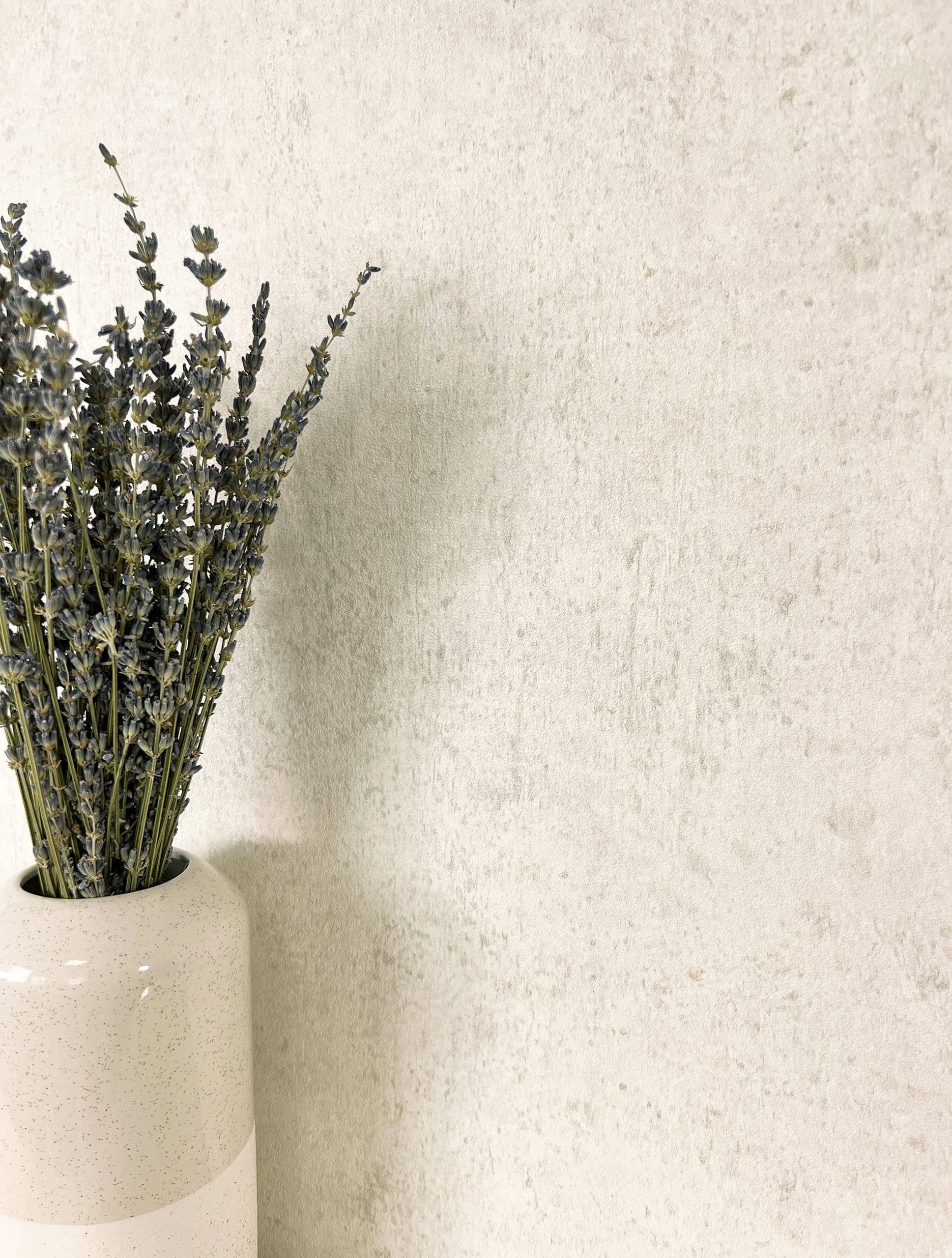 Newroom Vliestapete, Creme Tapete Modern Beton günstig online kaufen