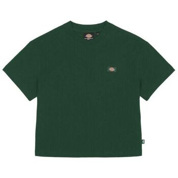 Dickies  T-Shirts & Poloshirts OAKPORT BOXY - DK0A4Y8L-PIN1 PINR NEEDLE günstig online kaufen