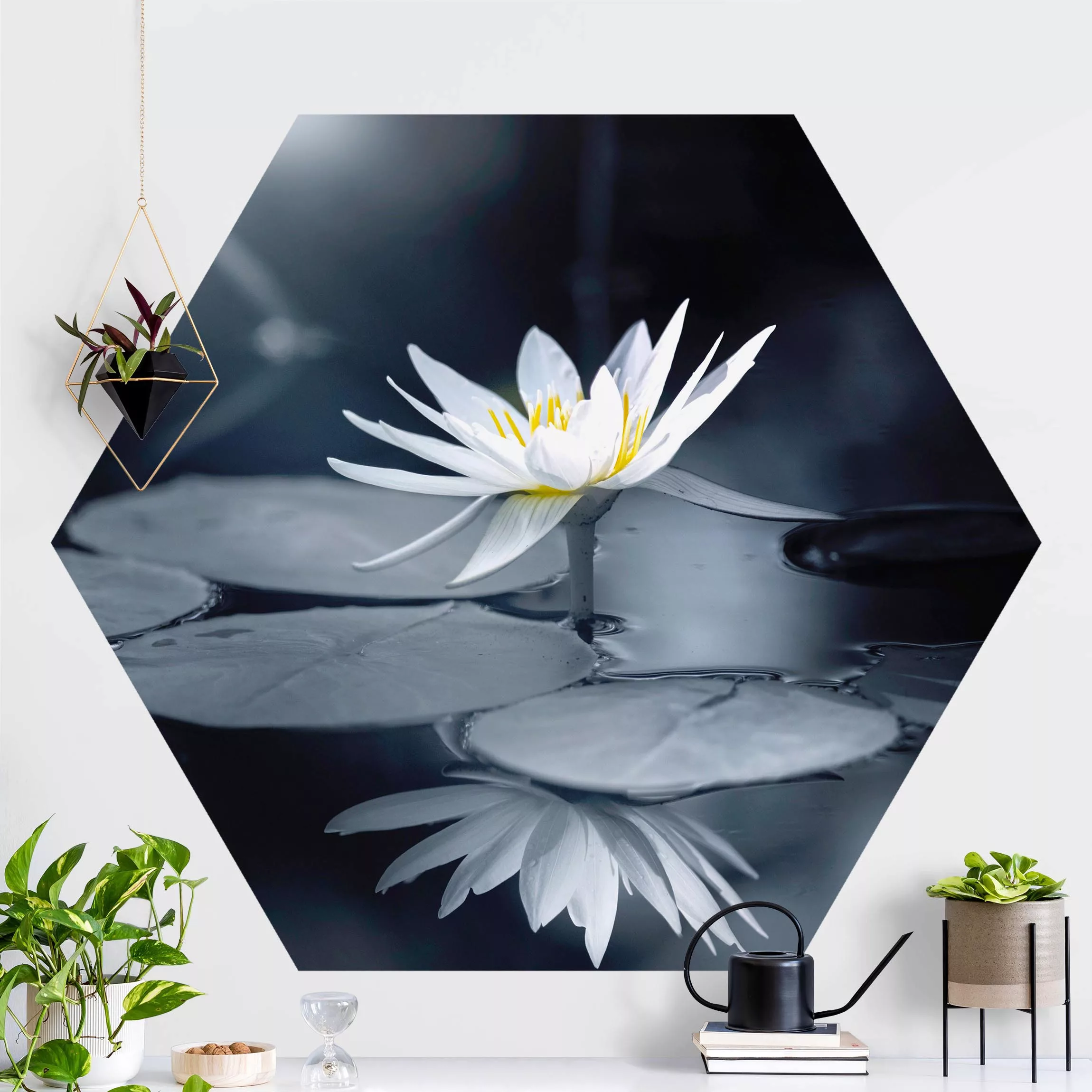 Hexagon Fototapete selbstklebend Lotus Spiegelung im Wasser günstig online kaufen