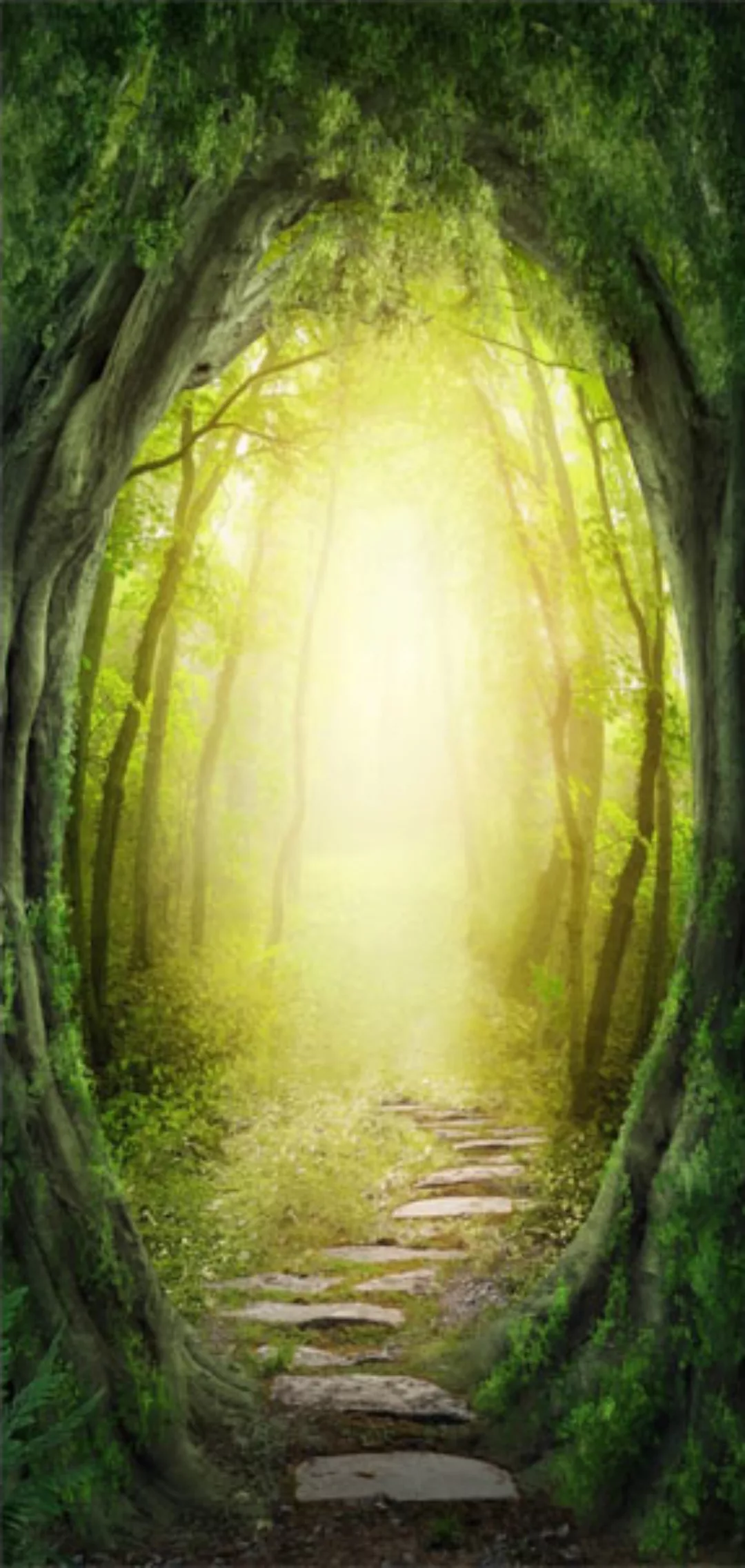 Türtapete - The Forest Of Fantasy günstig online kaufen