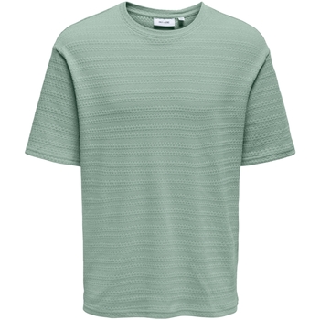 Only & Sons   T-Shirt T-Shirt Givo Kurzarmshirt günstig online kaufen