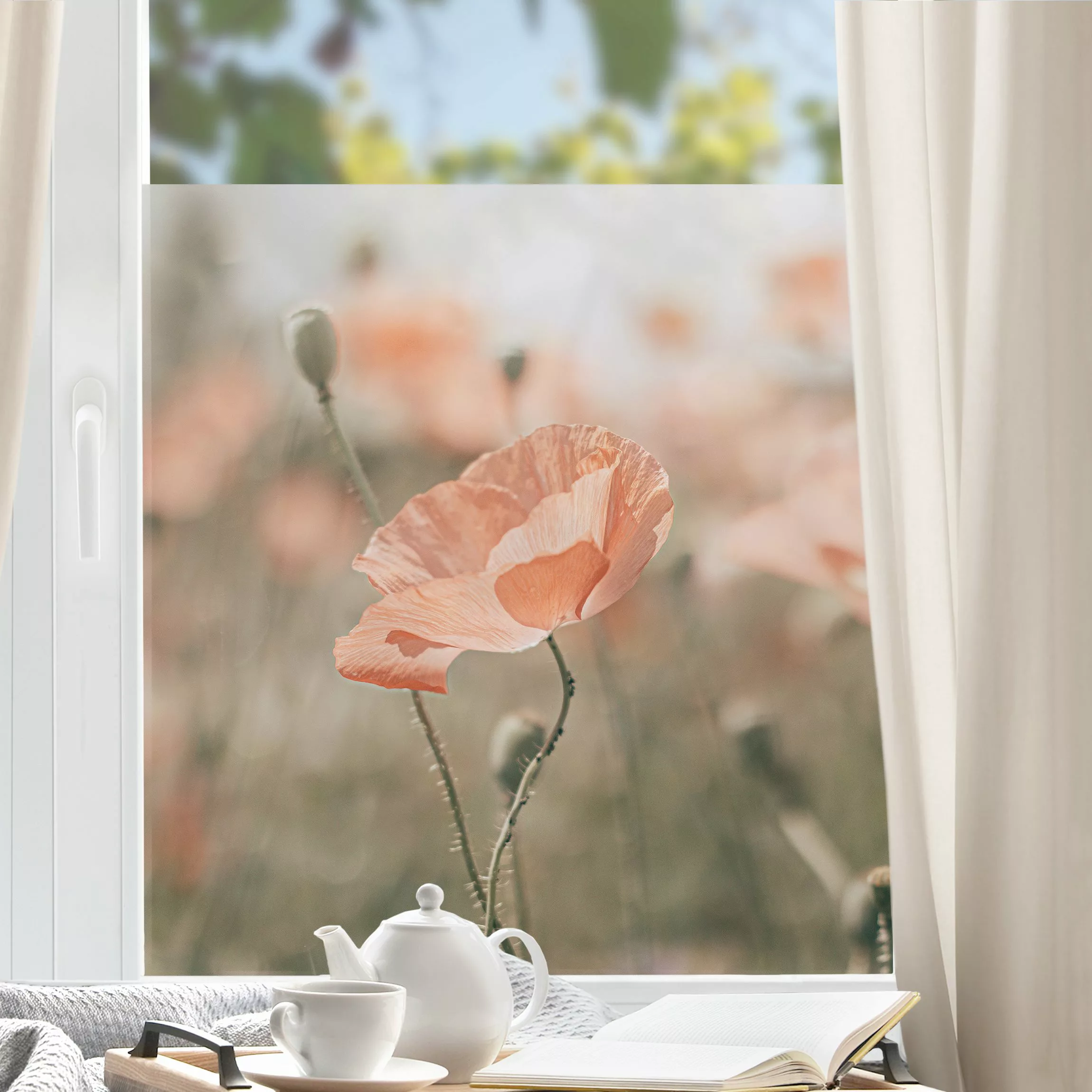 Fensterfolie Sonnengeküsste Mohnfelder günstig online kaufen