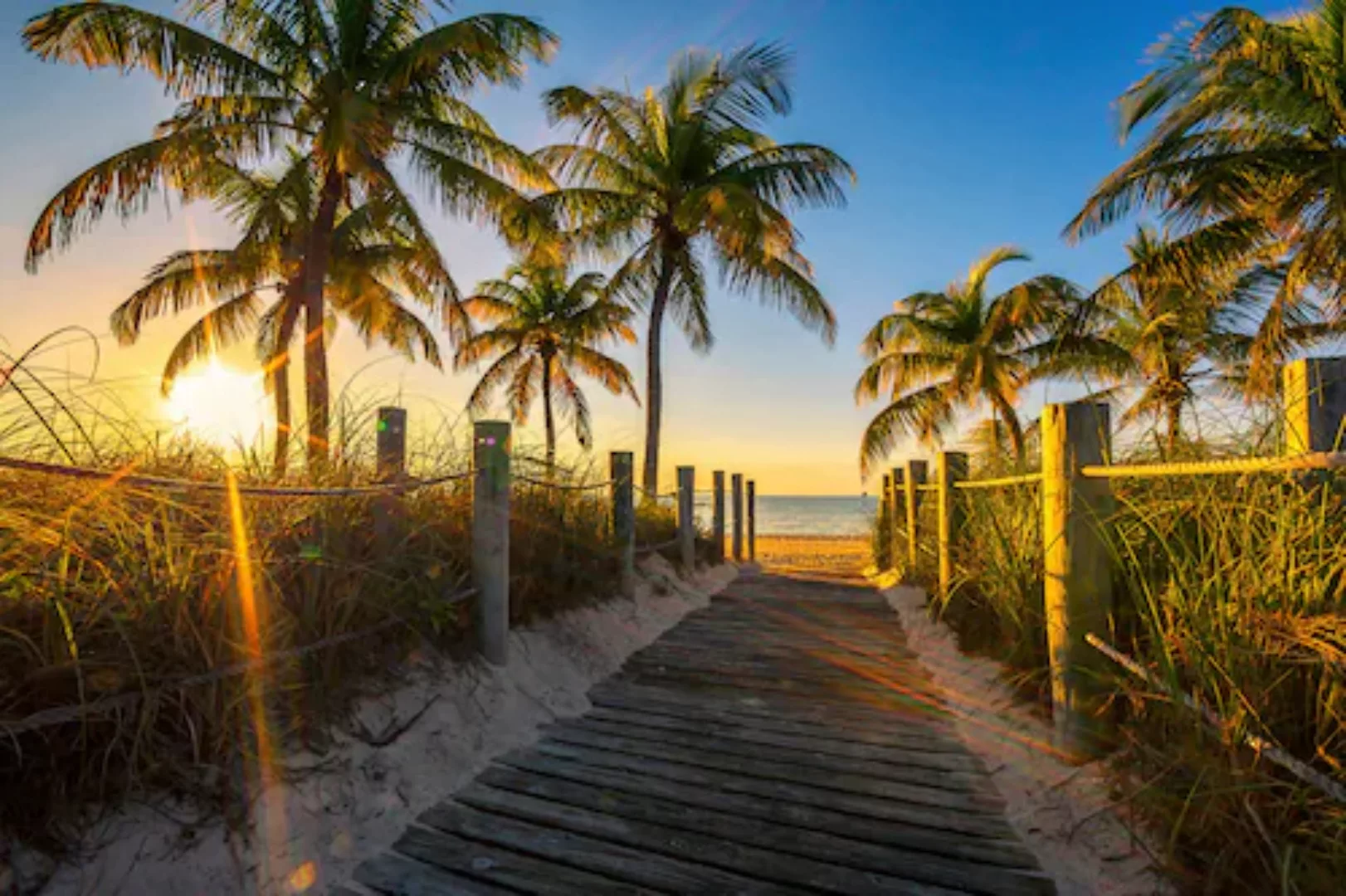 Papermoon Fototapete »Strand mit Palmen« günstig online kaufen