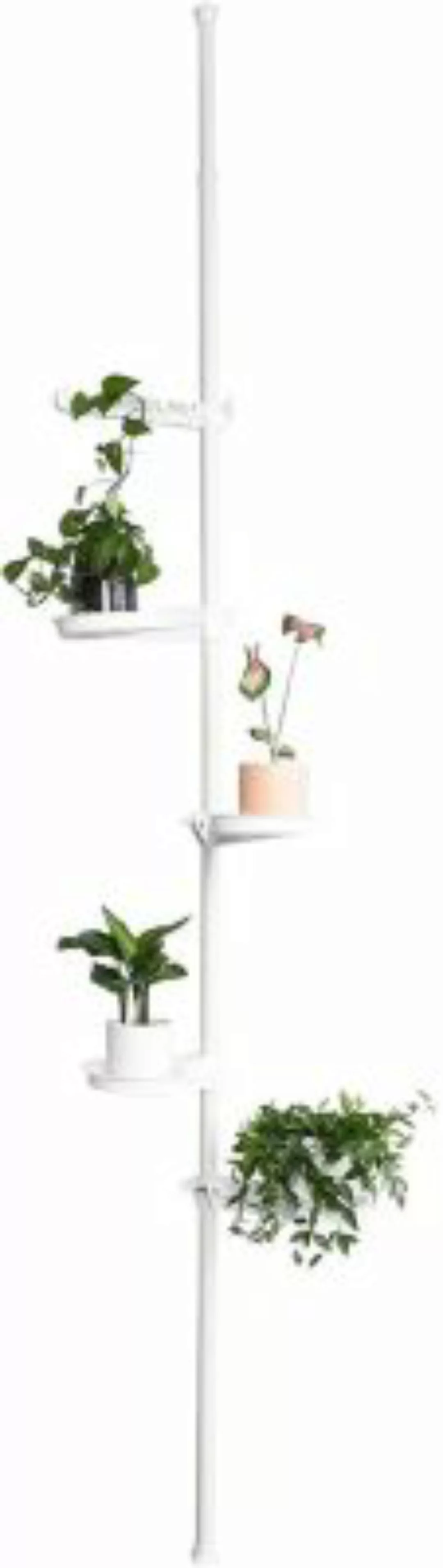 SoBuy® Blumentreppe Pflanzenregal höhenverstellbarer weiß günstig online kaufen