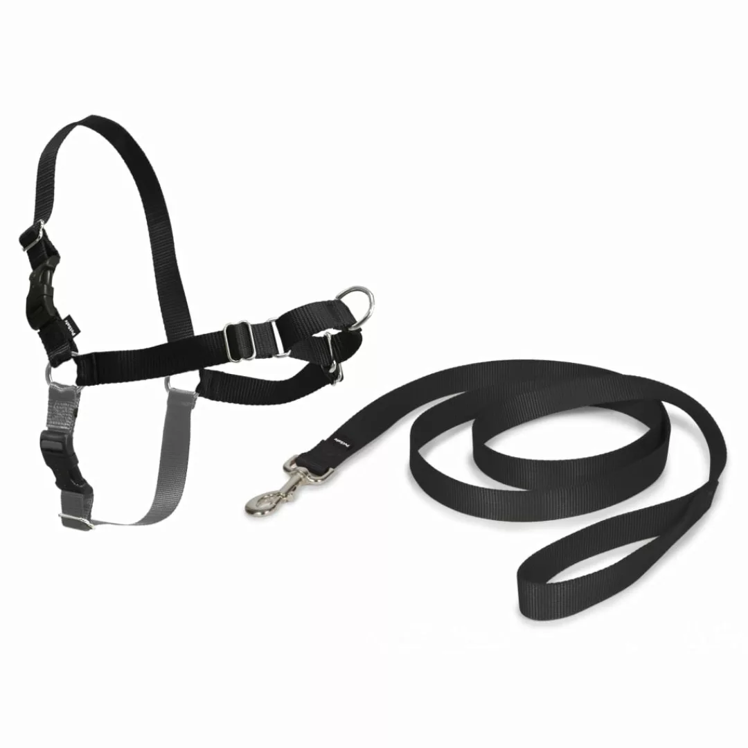 Petsafe Hundegeschirr Easy Walk M Schwarz günstig online kaufen