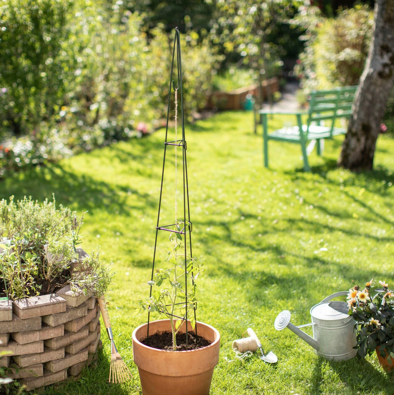 Windhager Ranksäule, Rankturm-Pyramide, faltbar, H: 110 cm günstig online kaufen