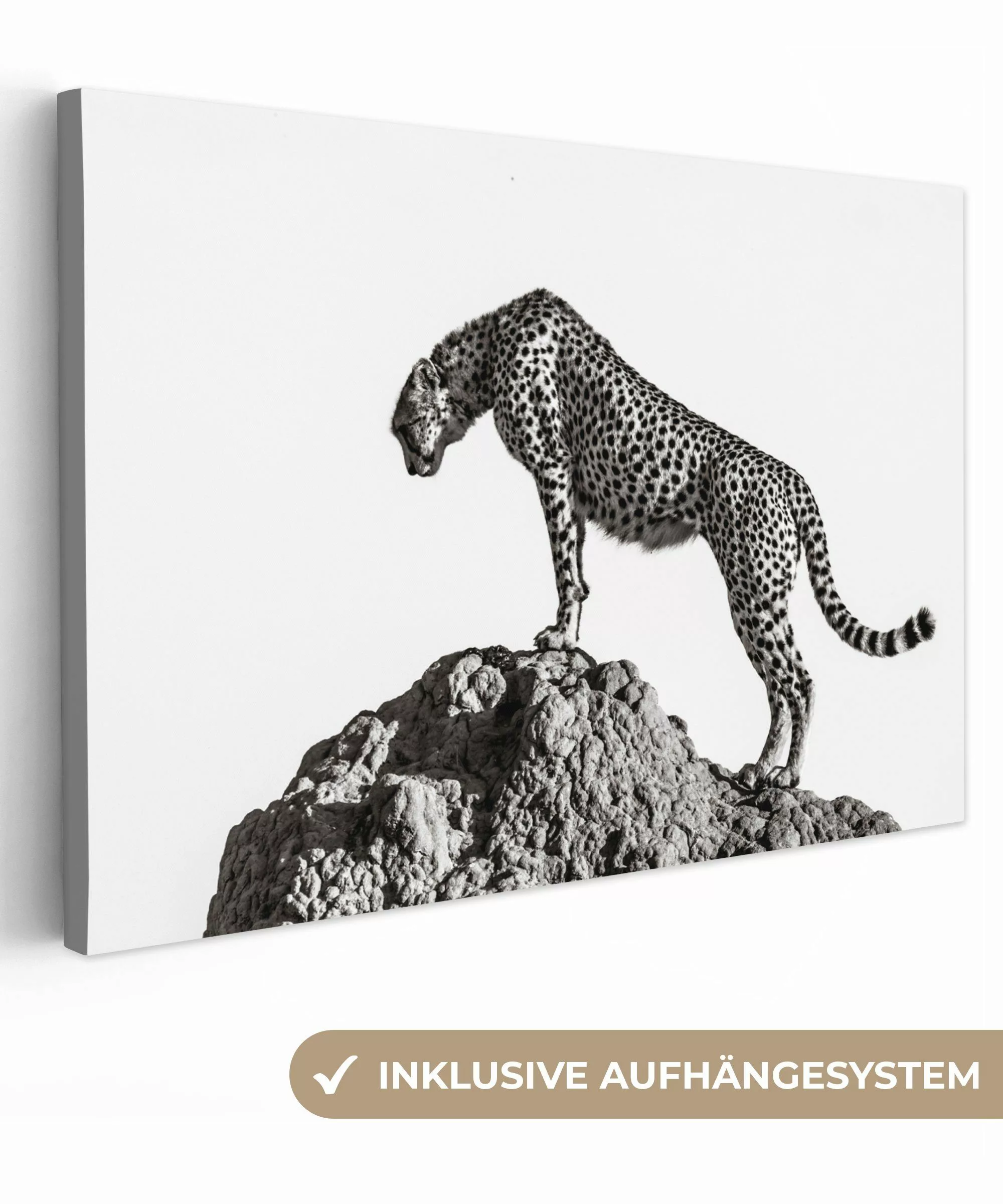 OneMillionCanvasses® Leinwandbild Raubtier - Panther - günstig online kaufen