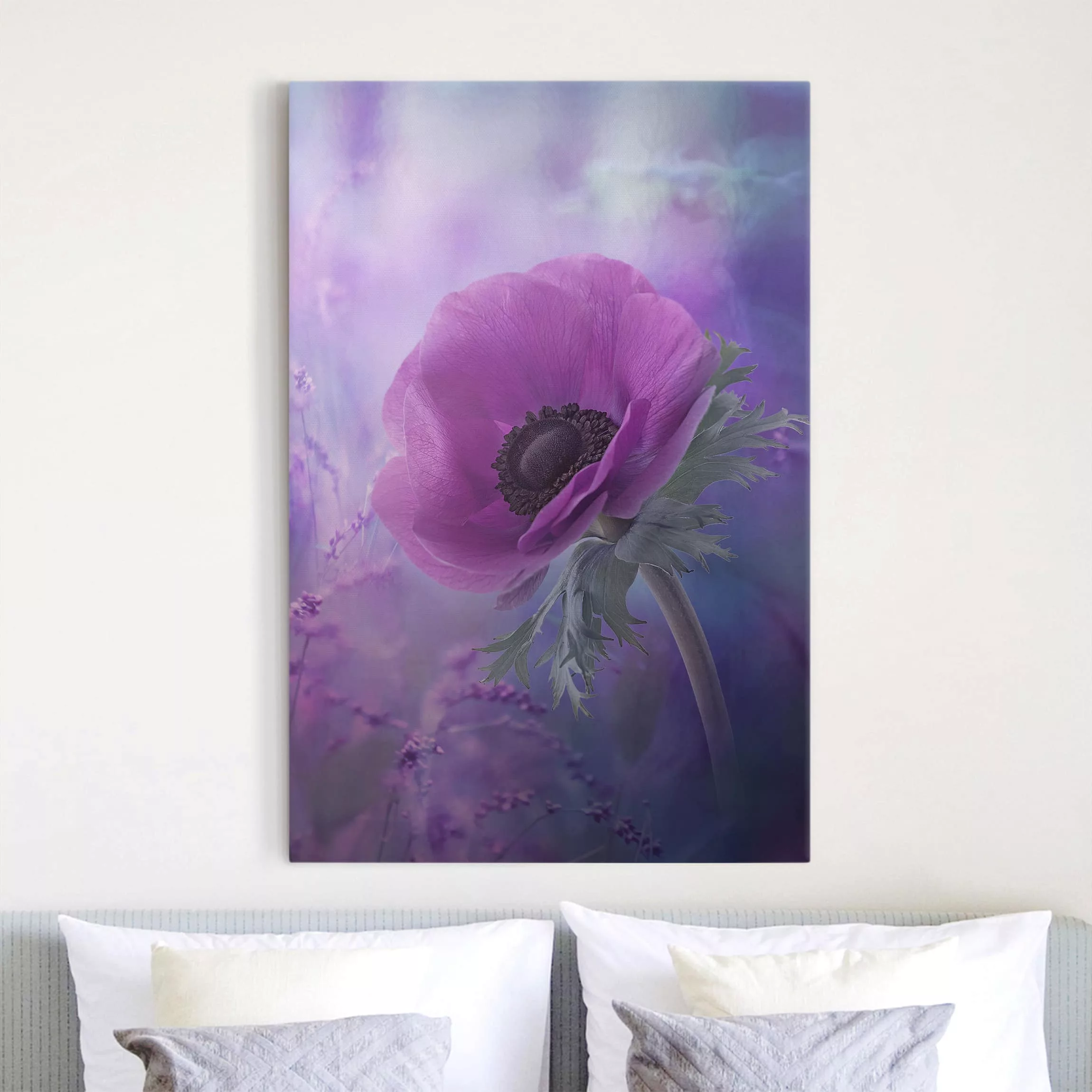 Leinwandbild Blumen - Hochformat Anemonenblüte in Violett günstig online kaufen