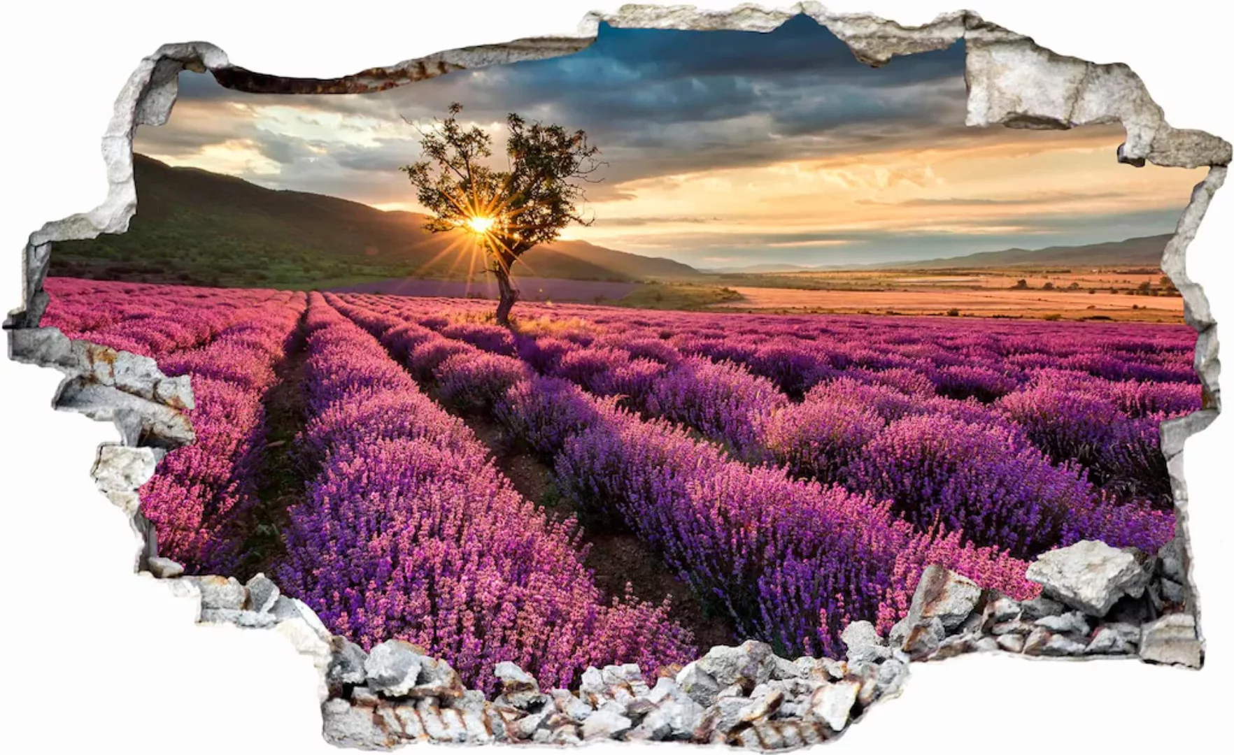 Wall-Art Wandtattoo "Lavendel in der Provence" günstig online kaufen
