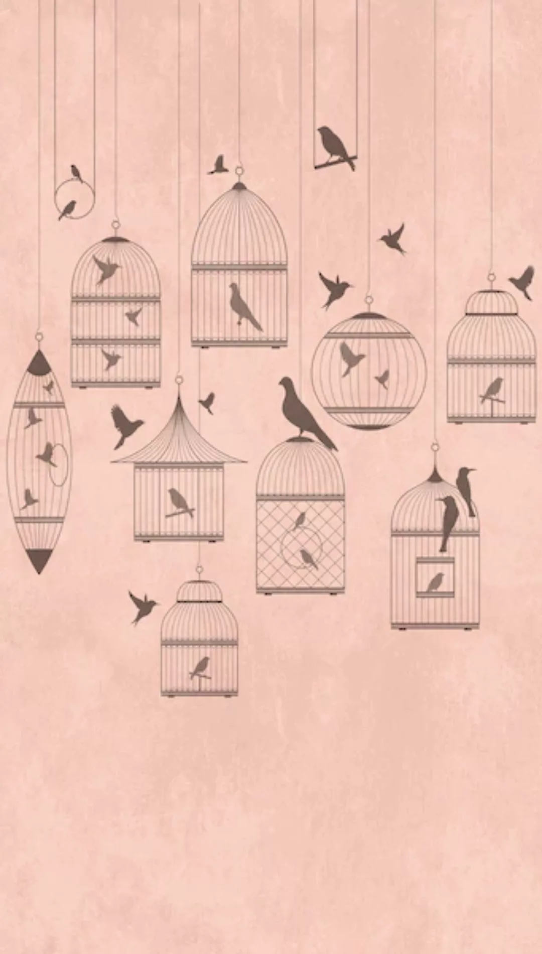 Bricoflor Romantische Tapete mit Vogelkäfig Rosa Fototapete mit Vögeln Vint günstig online kaufen