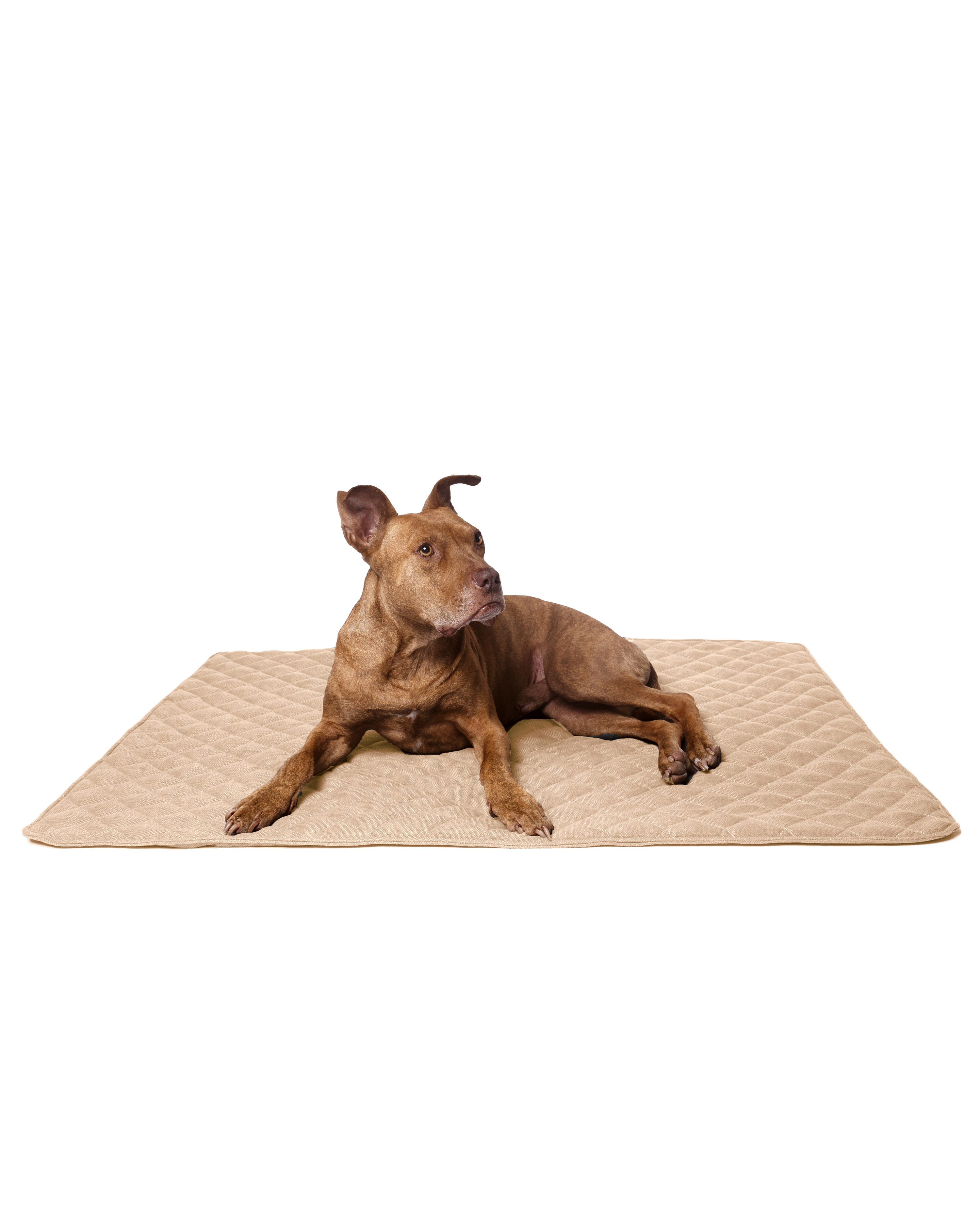 lous Hundematte stilvolle & hochwertige Hundedecke, günstig online kaufen