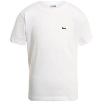 Lacoste  T-Shirt - günstig online kaufen