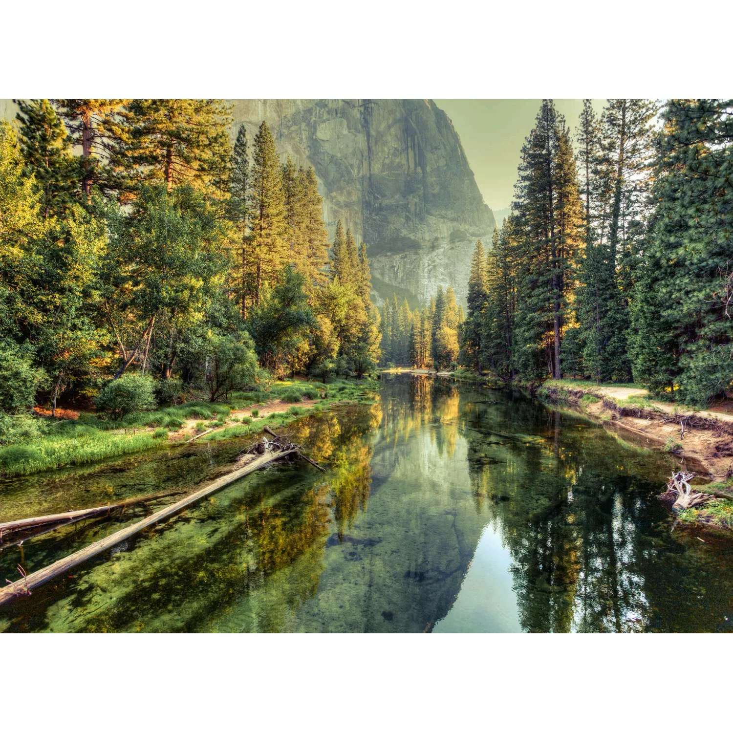 Fototapete Landschaft Fluss Wald Grün Gelb 3,50 m x 2,55 m FSC® günstig online kaufen