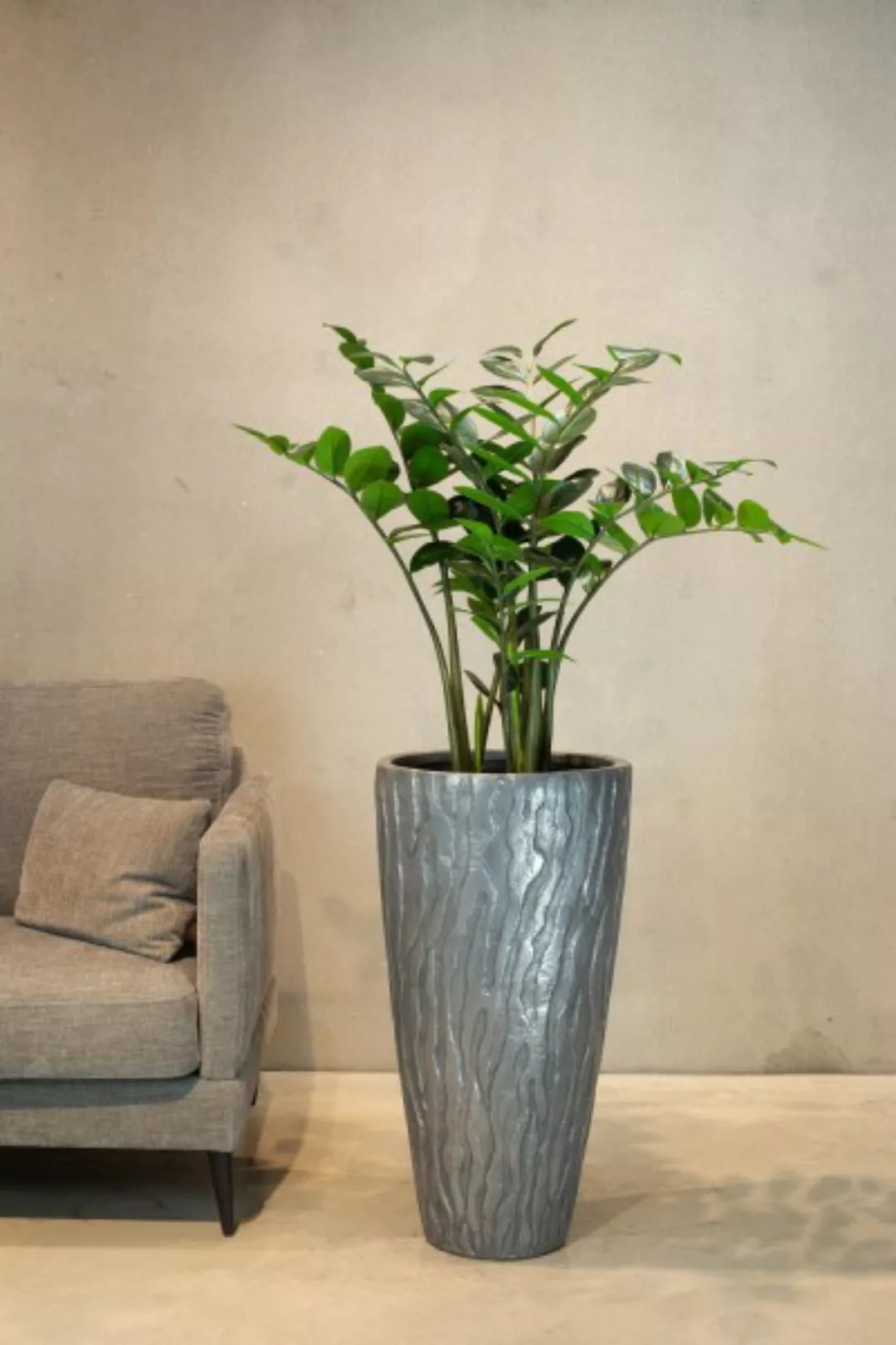 Künstliche Zamioculcas - Glücksfeder Pflanze 90 cm günstig online kaufen