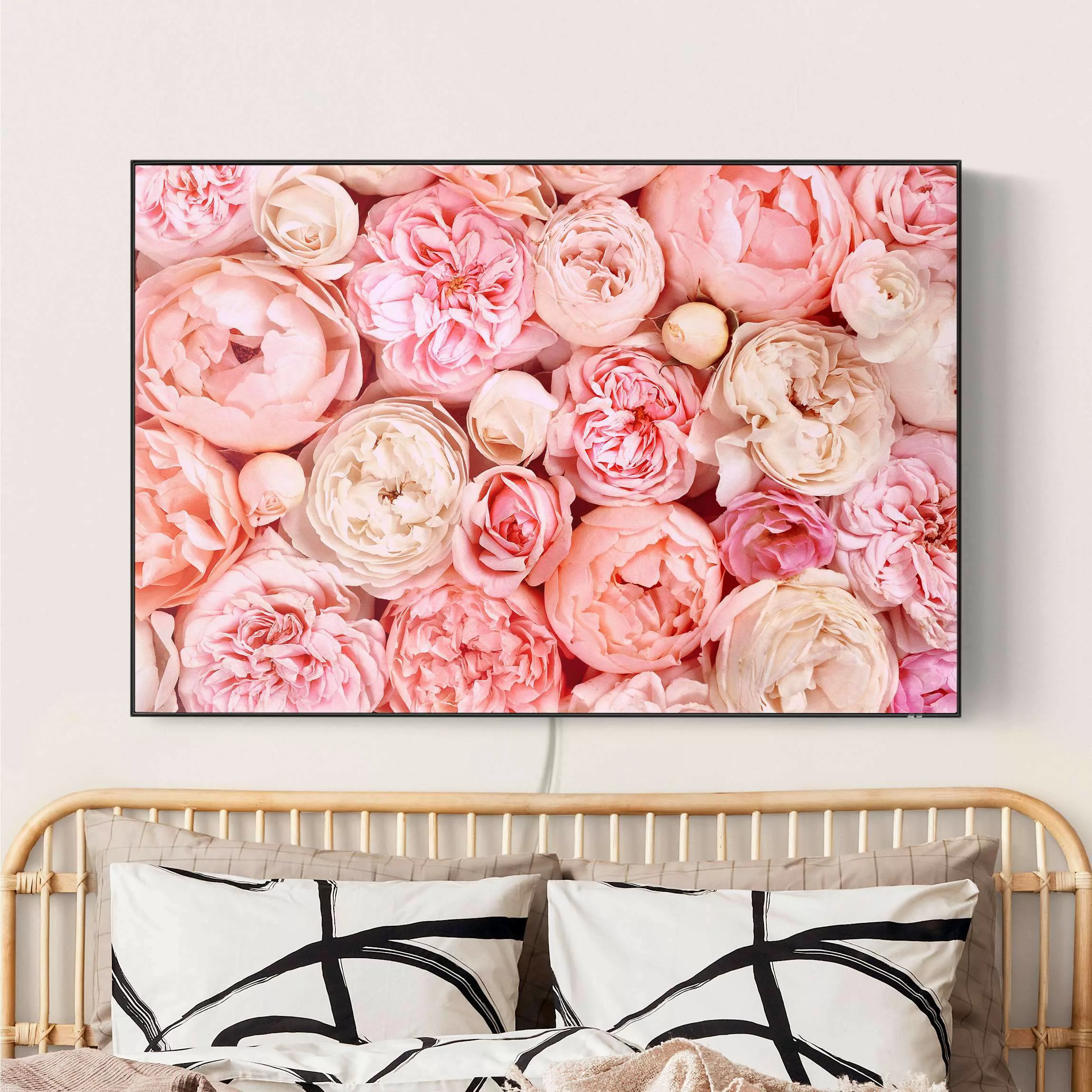 LED-Wechselbild Rosen Rosé Koralle Shabby günstig online kaufen