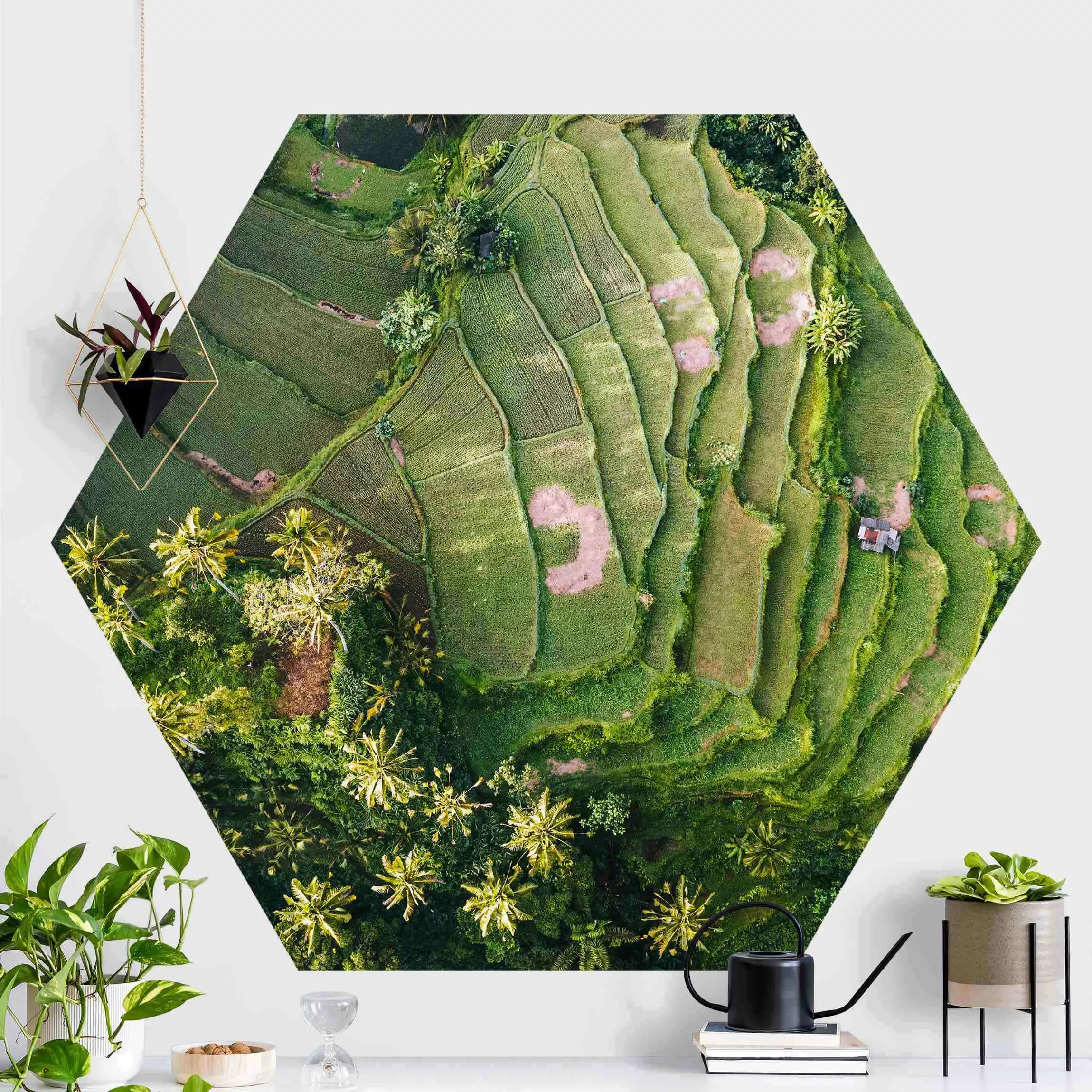 Hexagon Fototapete selbstklebend Grüne Terassen günstig online kaufen