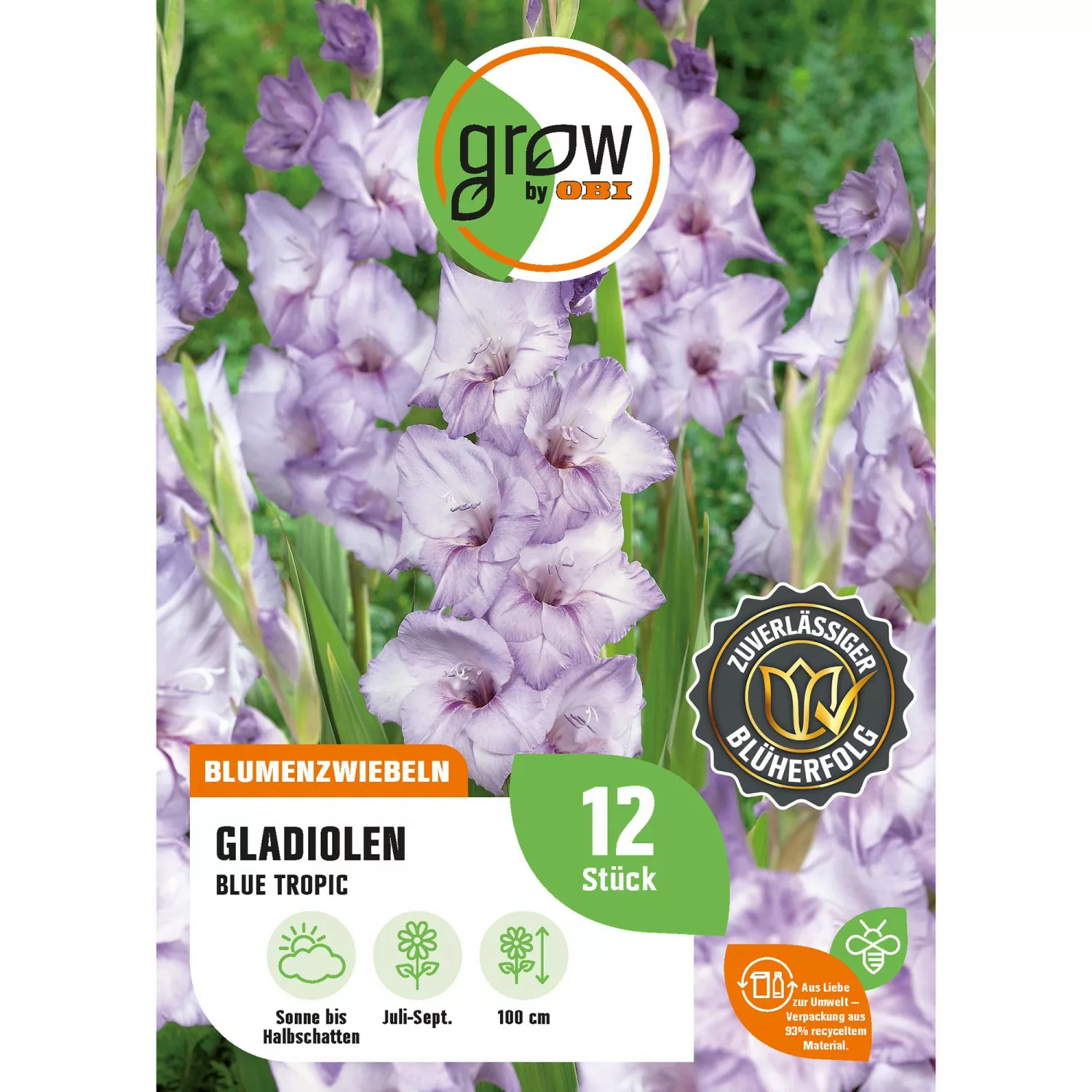 GROW by OBI Gladiole Blue Tropic Höhe ca. 100 cm Gladiolus grandiflorus günstig online kaufen