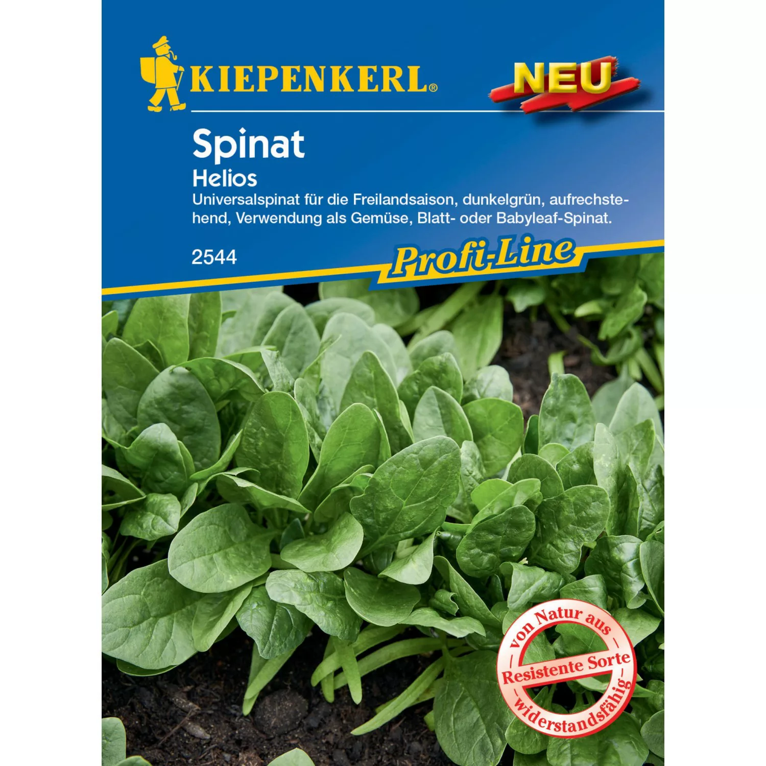 Kiepenkerl Profi-Line Spinat Helios F1-Hybride günstig online kaufen