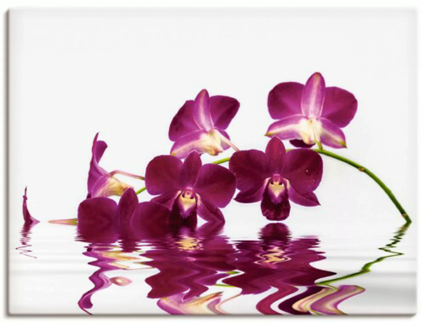 Artland Leinwandbild "Phalaenopsis Orchidee", Blumen, (1 St.), auf Keilrahm günstig online kaufen