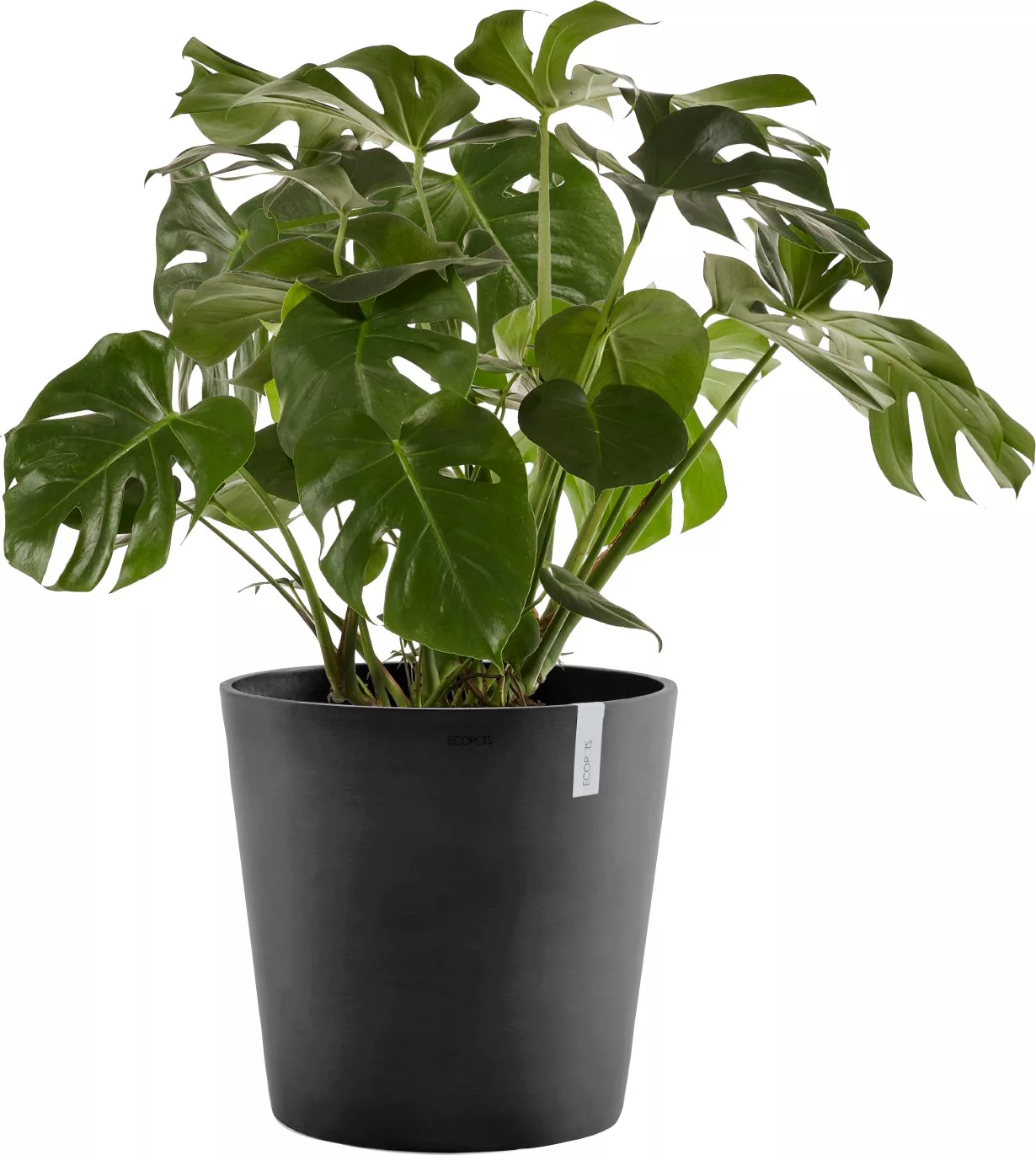 Ecopots Pflanztopf Amsterdam Dunkelgrau 50 cm x 43,8 cm günstig online kaufen