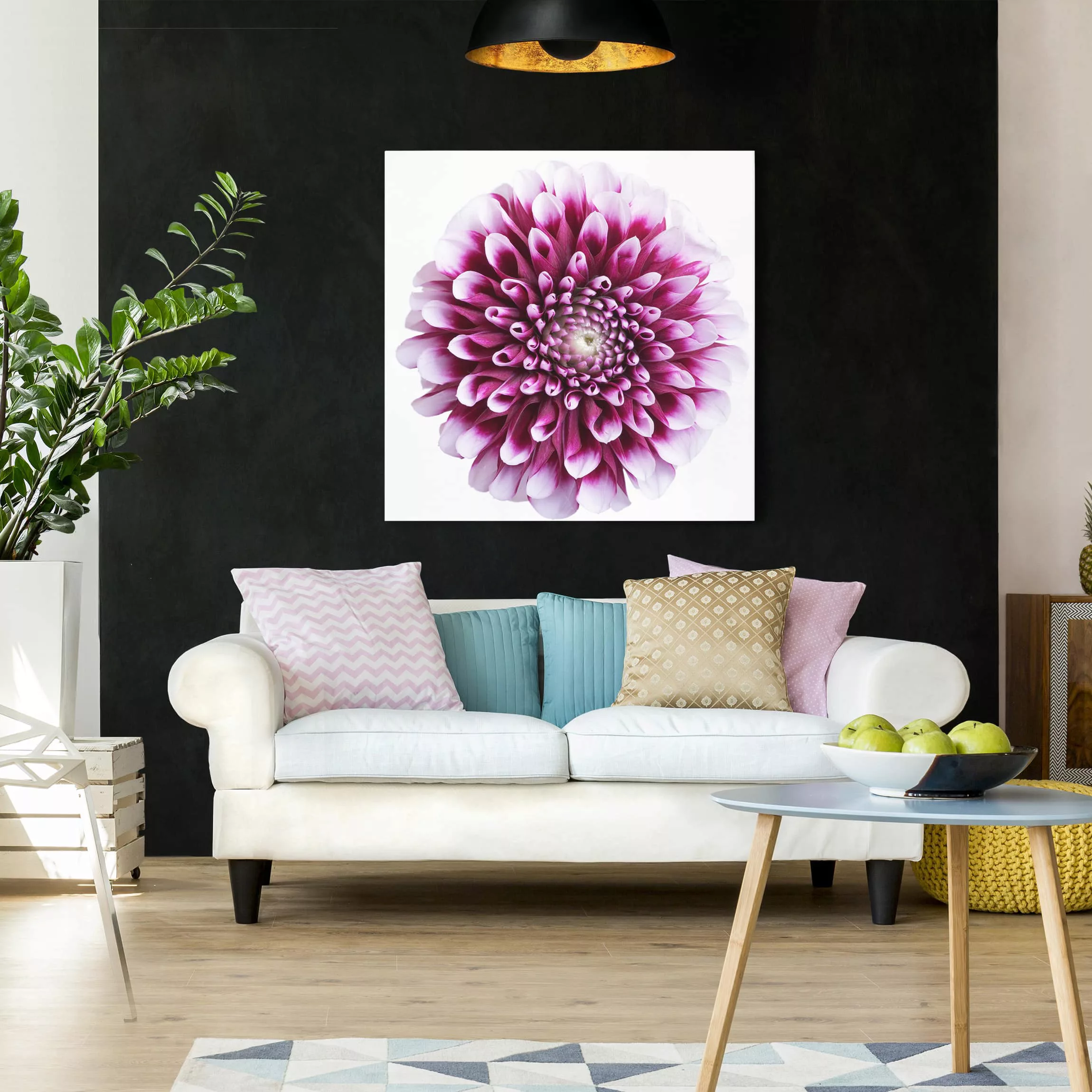 Leinwandbild Blumen - Quadrat Aster günstig online kaufen