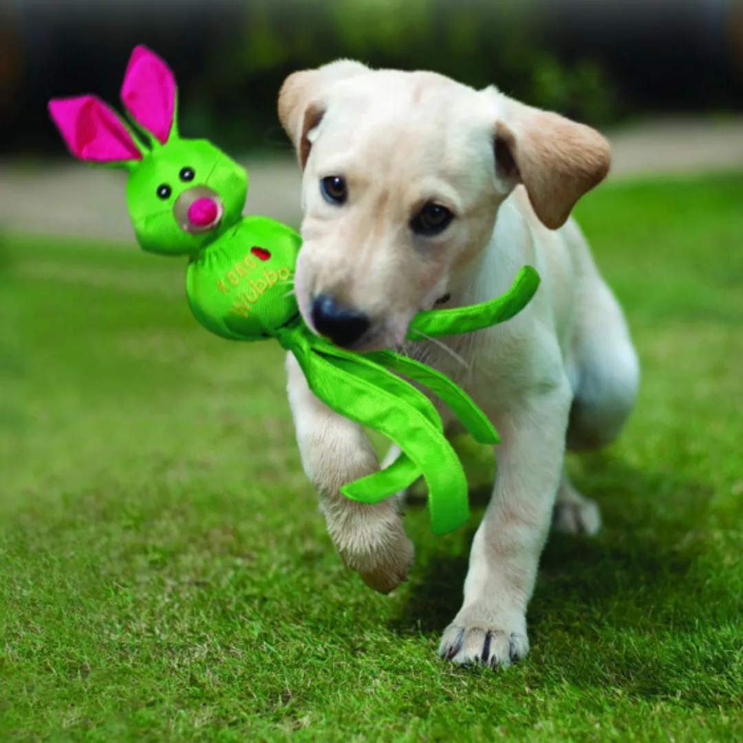Hundespielzeug Wubba Ballistic Friend 44 Cm Grün günstig online kaufen