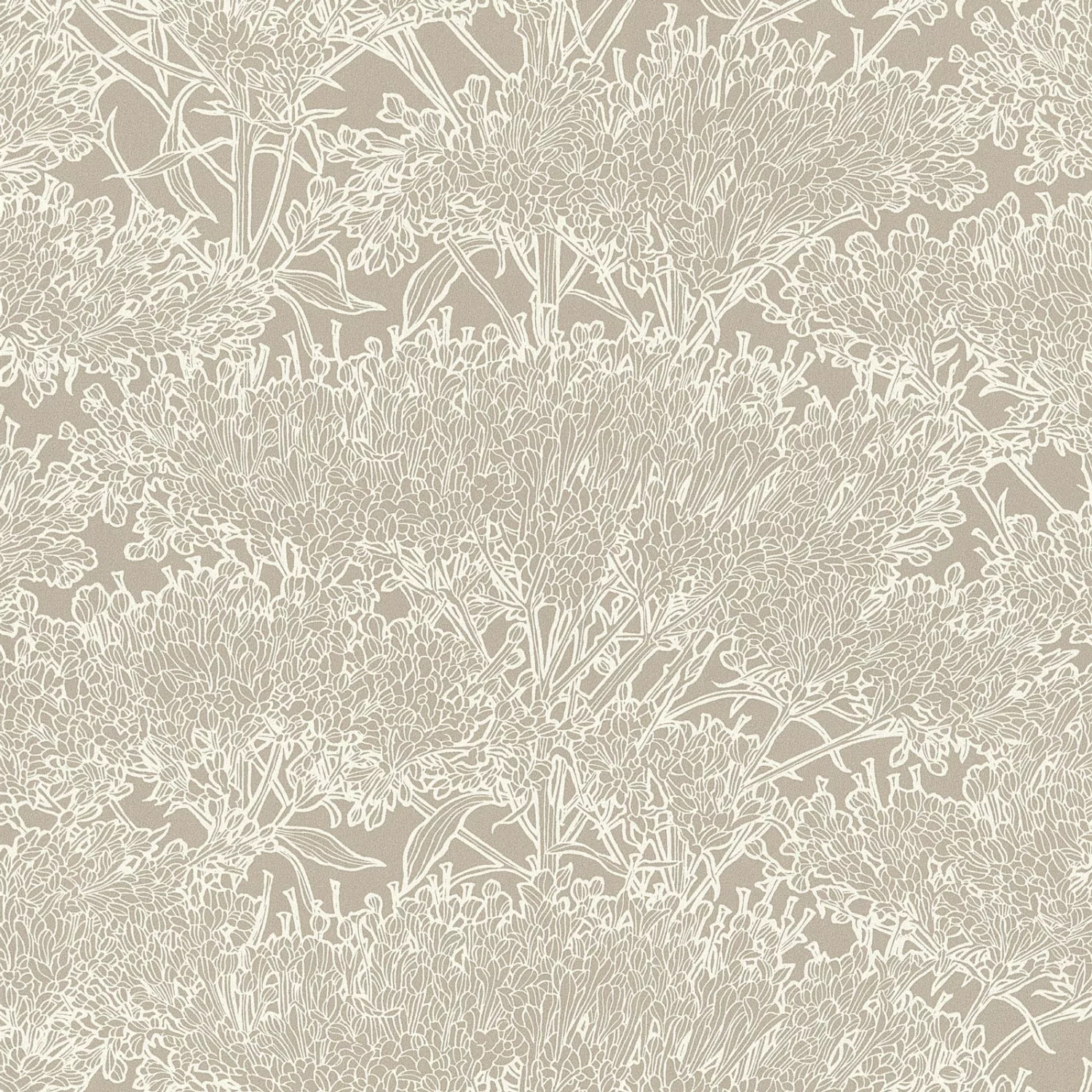 Bricoflor Florale Tapete in Beige und Weiß Moderne Blumentapete für Büro un günstig online kaufen