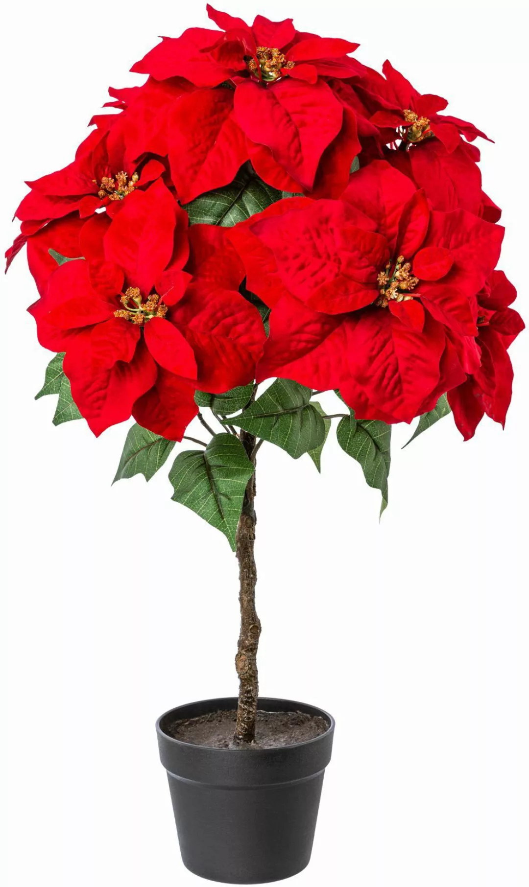 Winterliche Kunstpflanze Weihnachtsdeko Weihnachtsstern, Creativ deco, günstig online kaufen