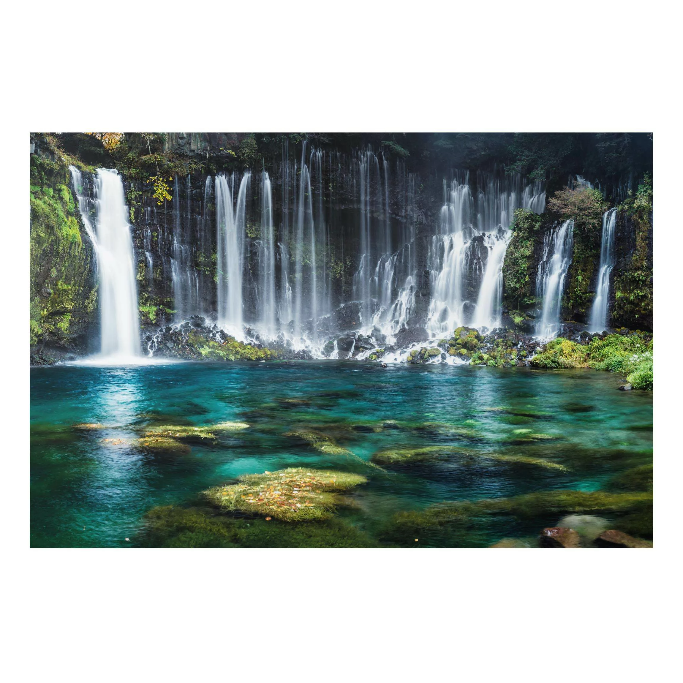 Alu-Dibond Bild Shiraito Wasserfall günstig online kaufen