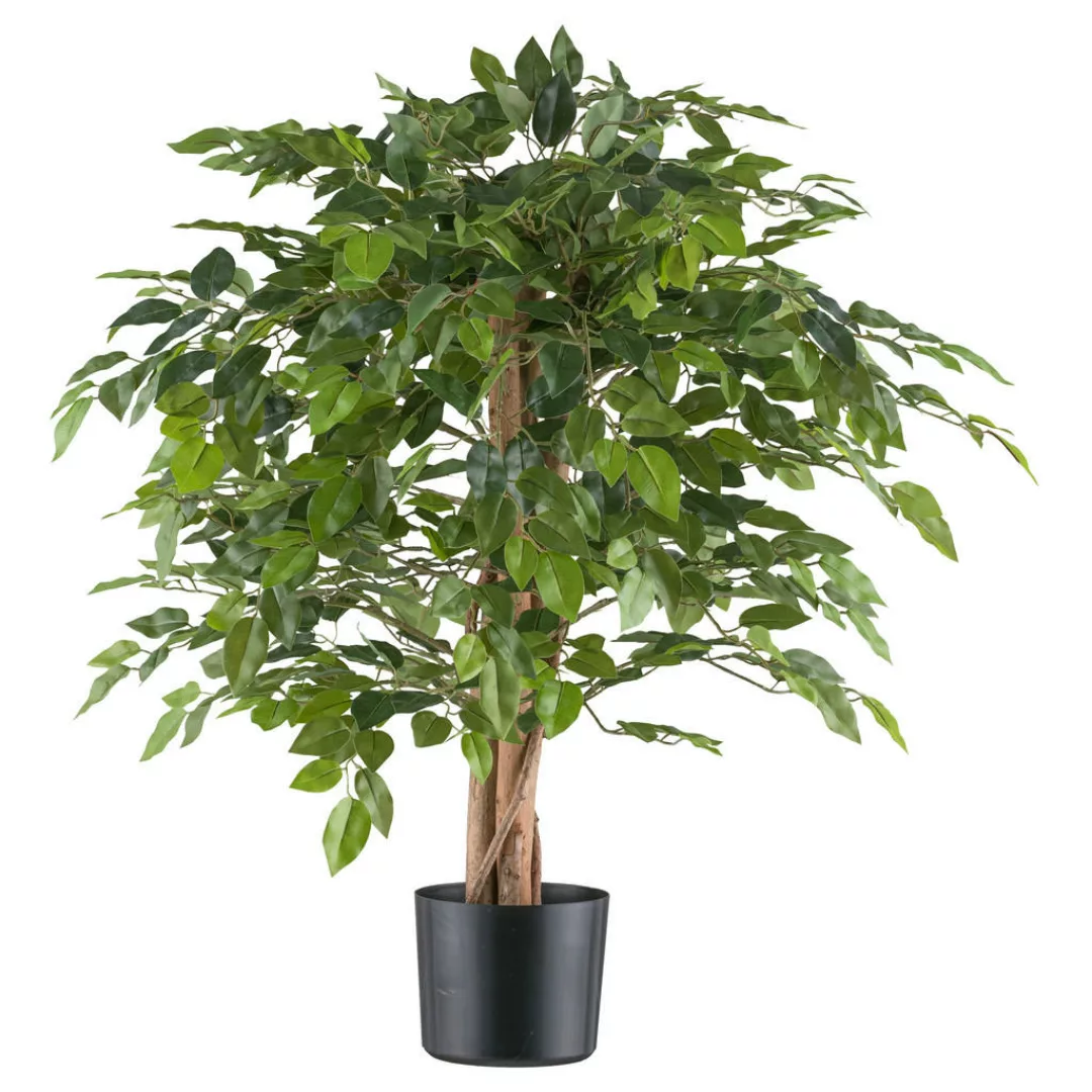 Kunstpflanze Ficus Benjamina grün Kunststoff B/H/L: ca. 21x85x21 cm günstig online kaufen