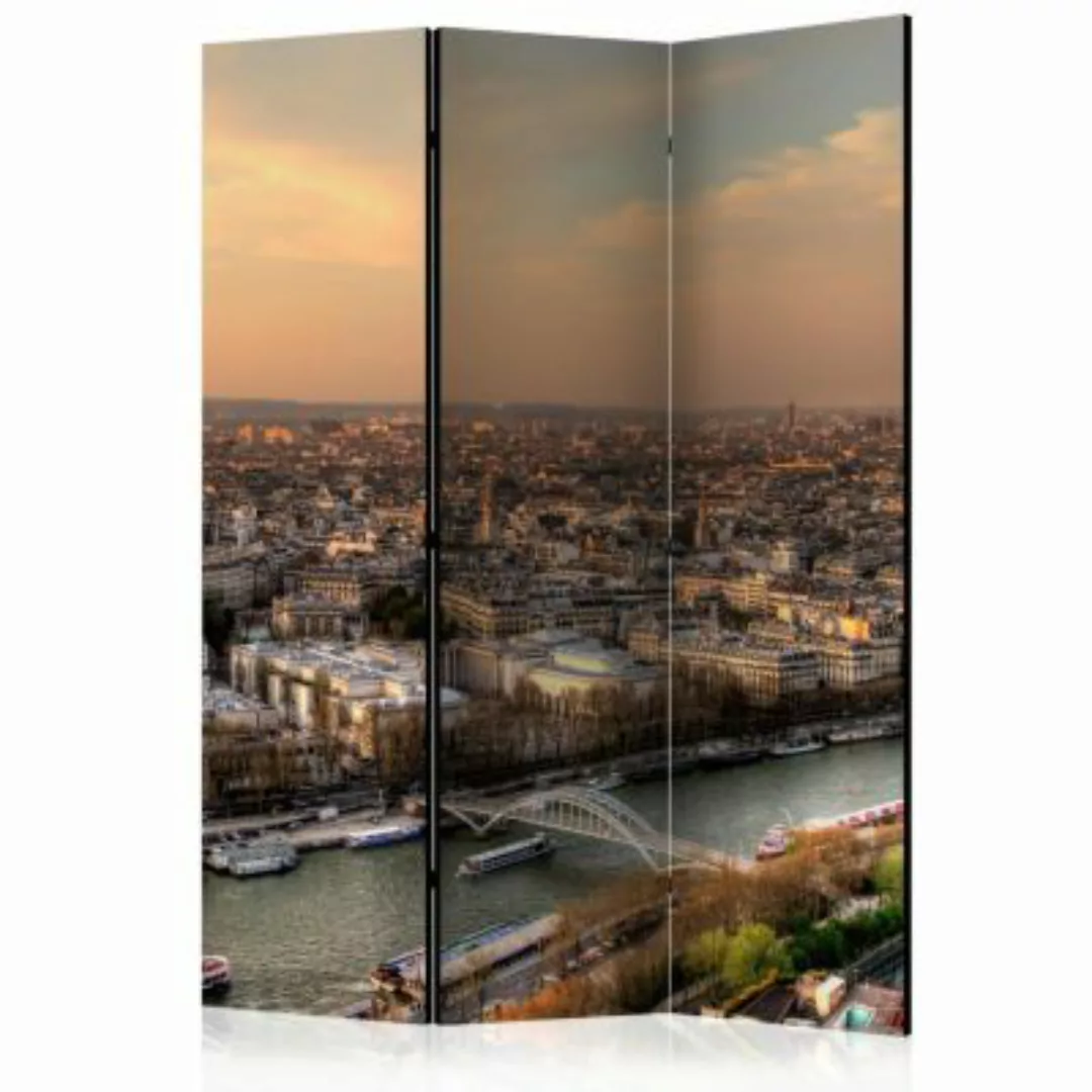 artgeist Paravent Barges on the Seine [Room Dividers] grau-kombi Gr. 135 x günstig online kaufen