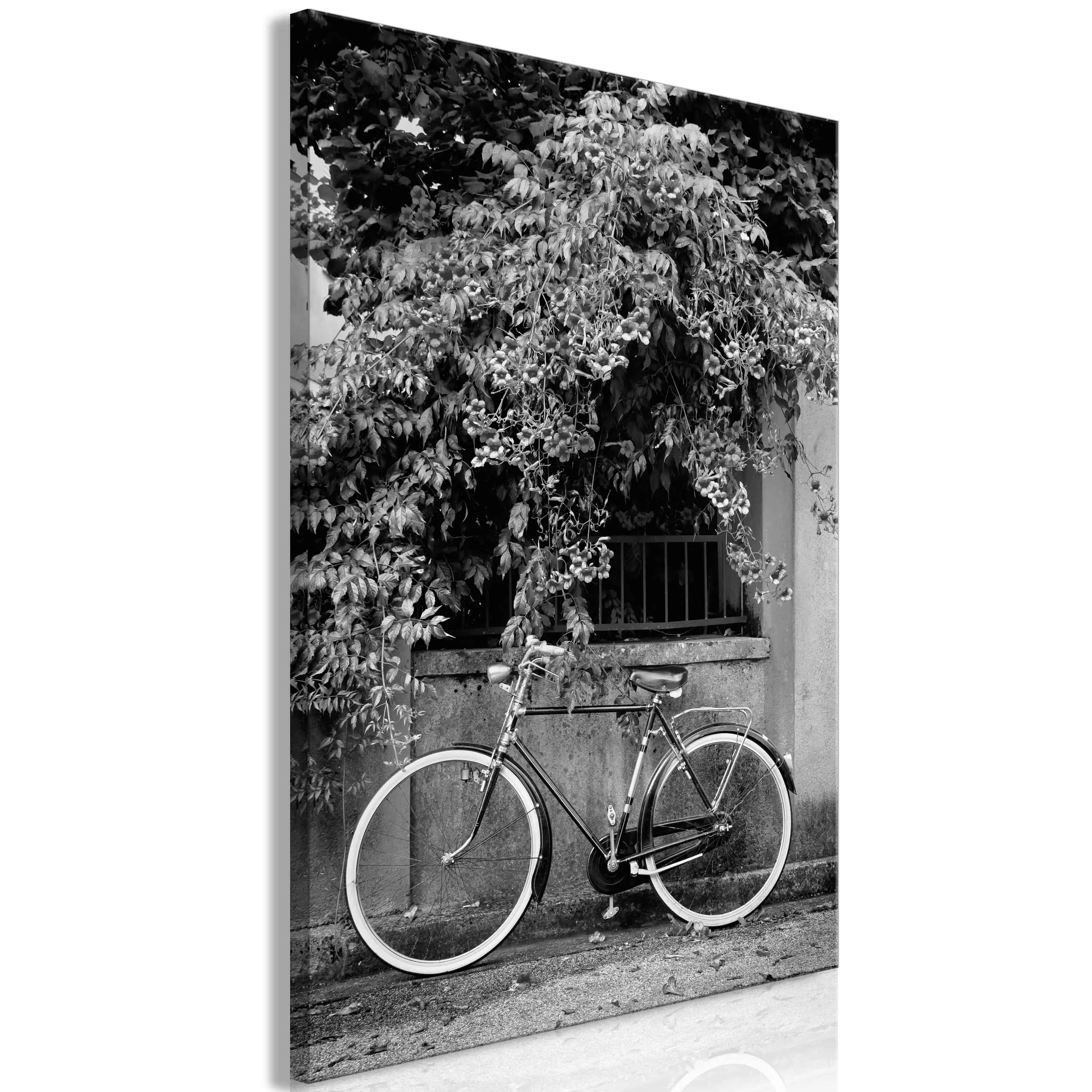 Wandbild - Bicycle and Flowers (1 Part) Vertical günstig online kaufen