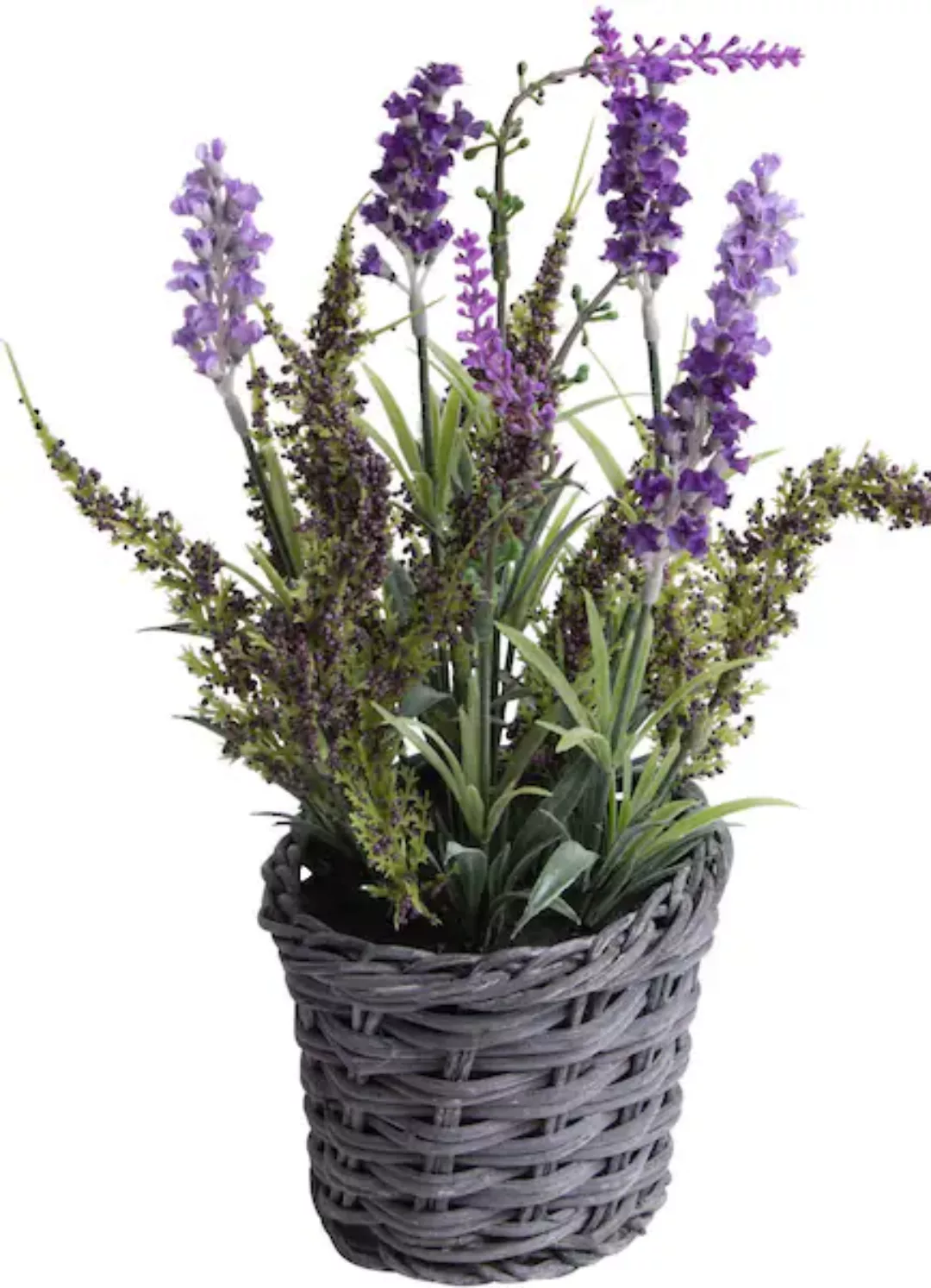 Botanic-Haus Künstliche Zimmerpflanze »Lavendel - Erika Arrangement im Korb günstig online kaufen