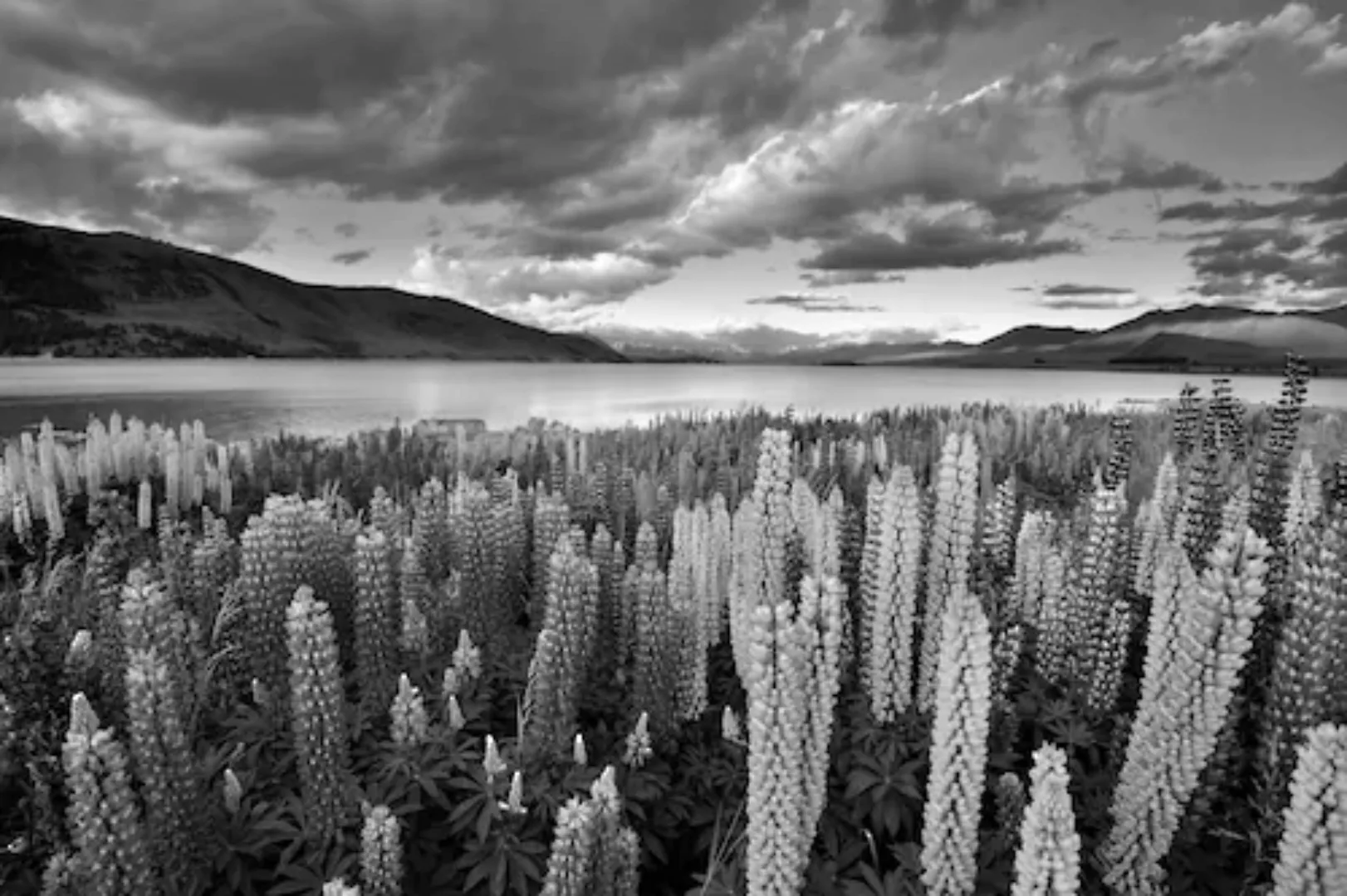 Papermoon Fototapete »Landschaft Schwarz & Weiß« günstig online kaufen