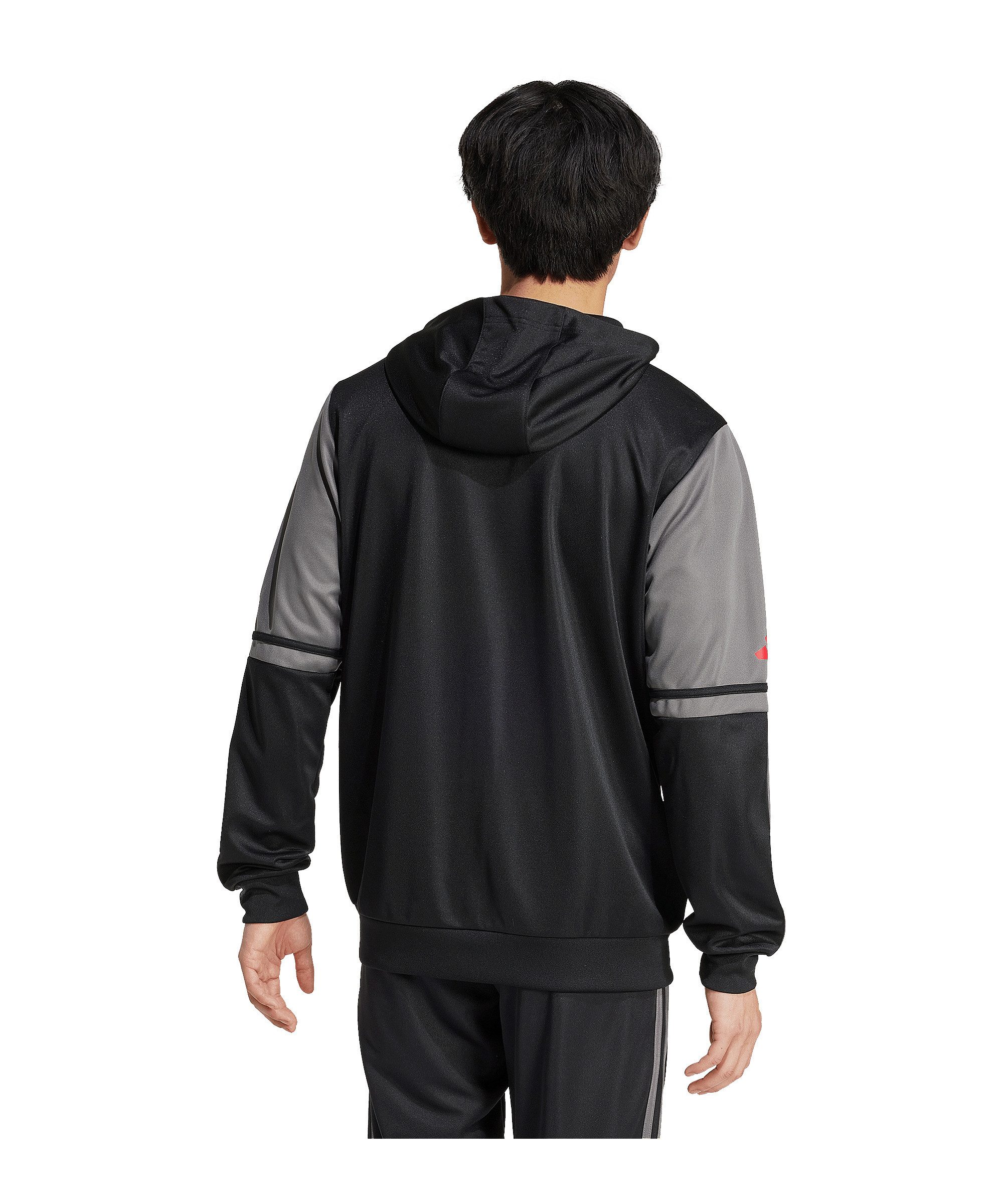 adidas Performance Sweatshirt adidas Performance Squadra günstig online kaufen