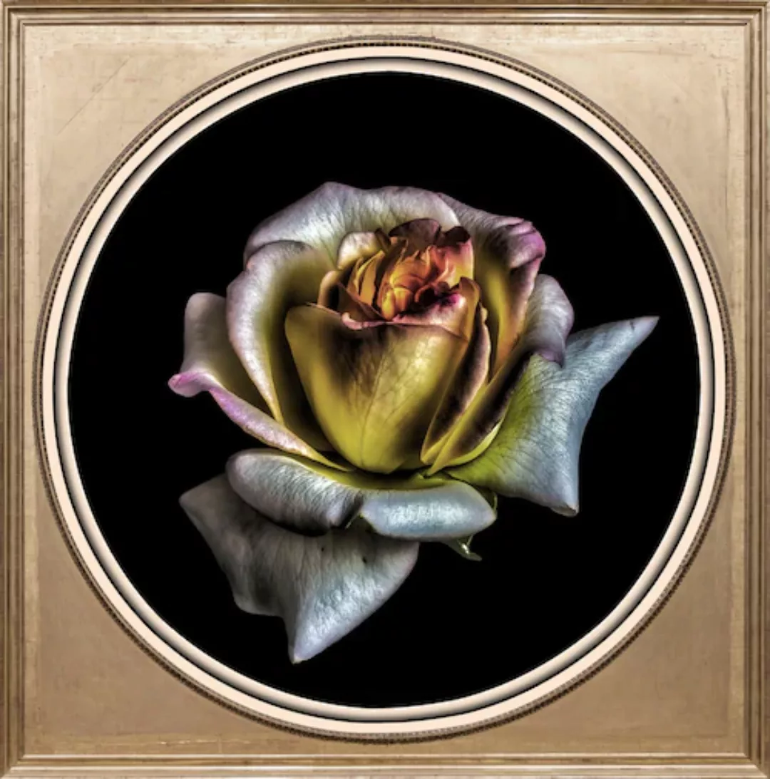 queence Acrylglasbild "Blume" günstig online kaufen