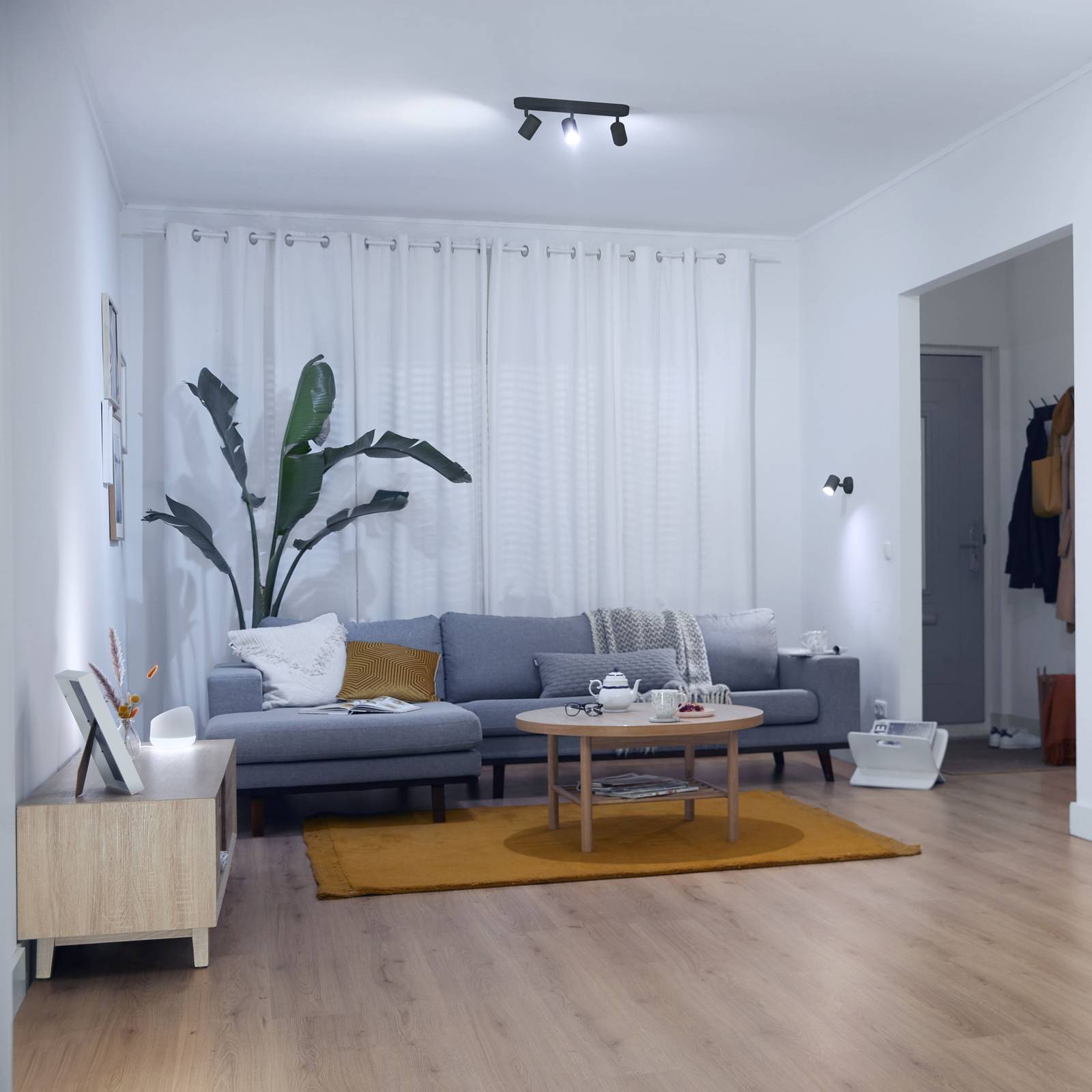WiZ Imageo LED-Spot 3-flg. 2.700-6.500 K, schwarz günstig online kaufen