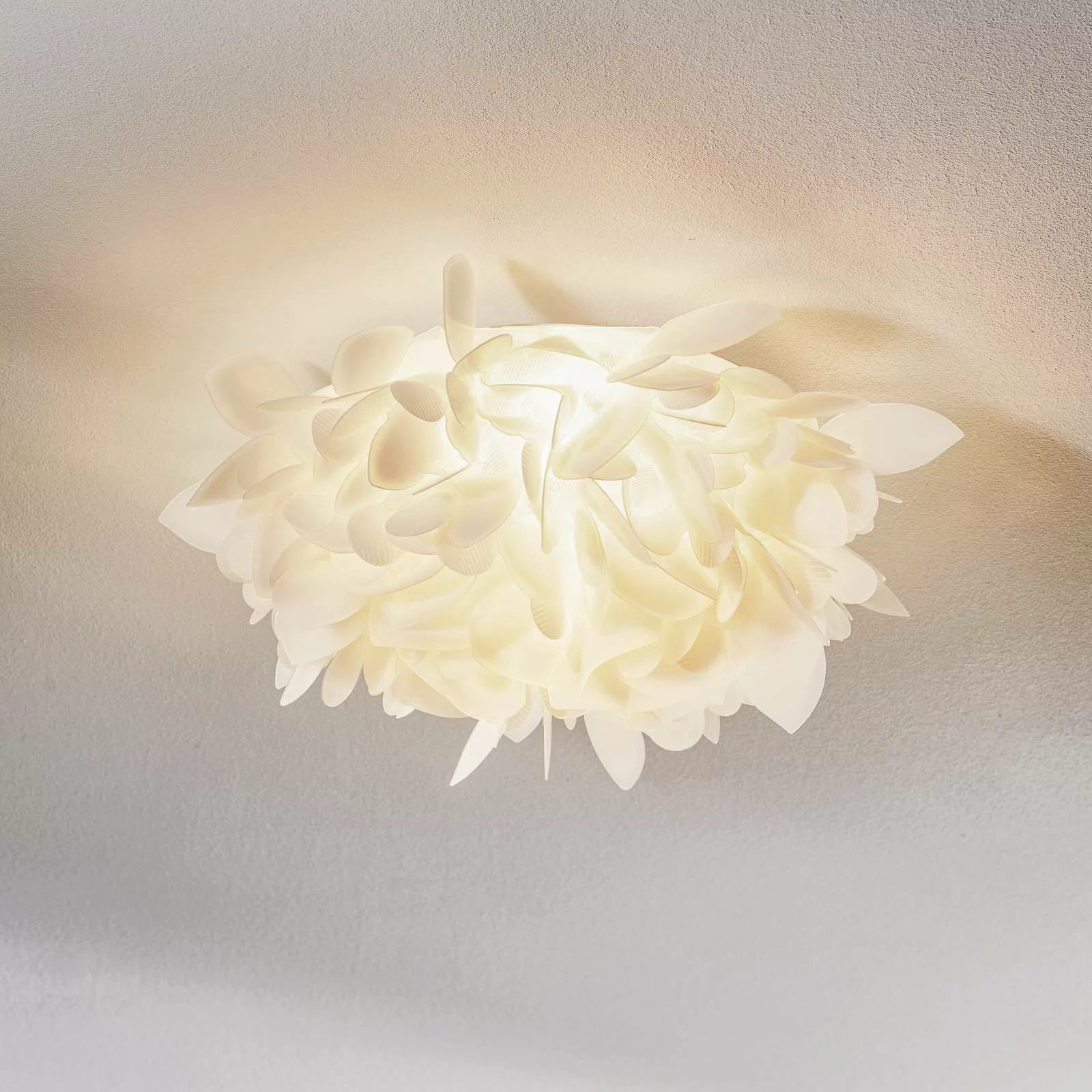 Slamp Veli Foliage Medium Wandleuchte, Ø 54cm günstig online kaufen