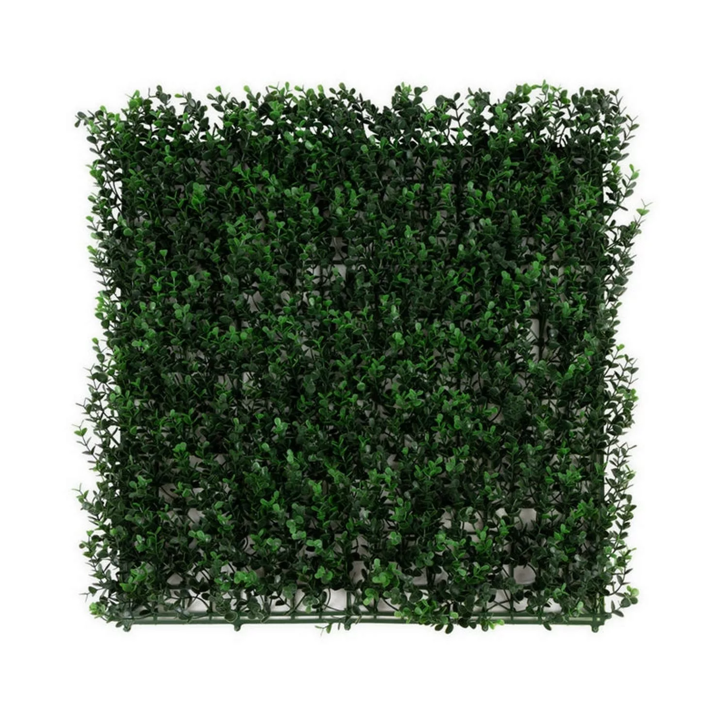 KARAT Pflanzenwand Buxus Kunstpflanze zur Dekoration 50 x 50 cm günstig online kaufen