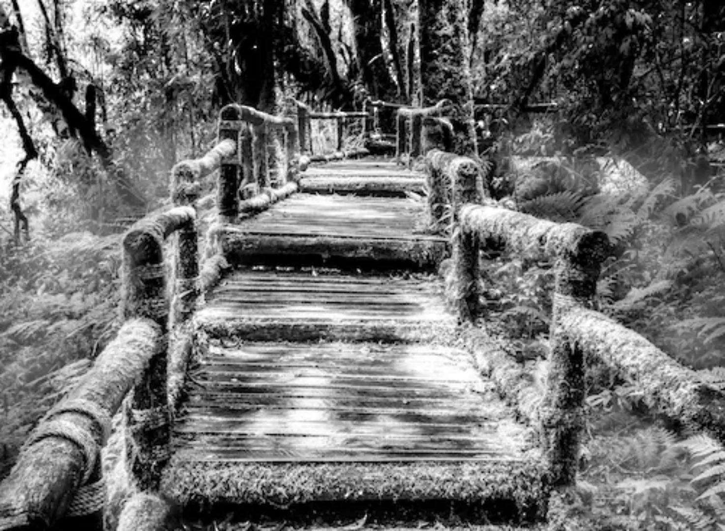 Papermoon Fototapete »Waldbrücke Schwarz & Weiß« günstig online kaufen